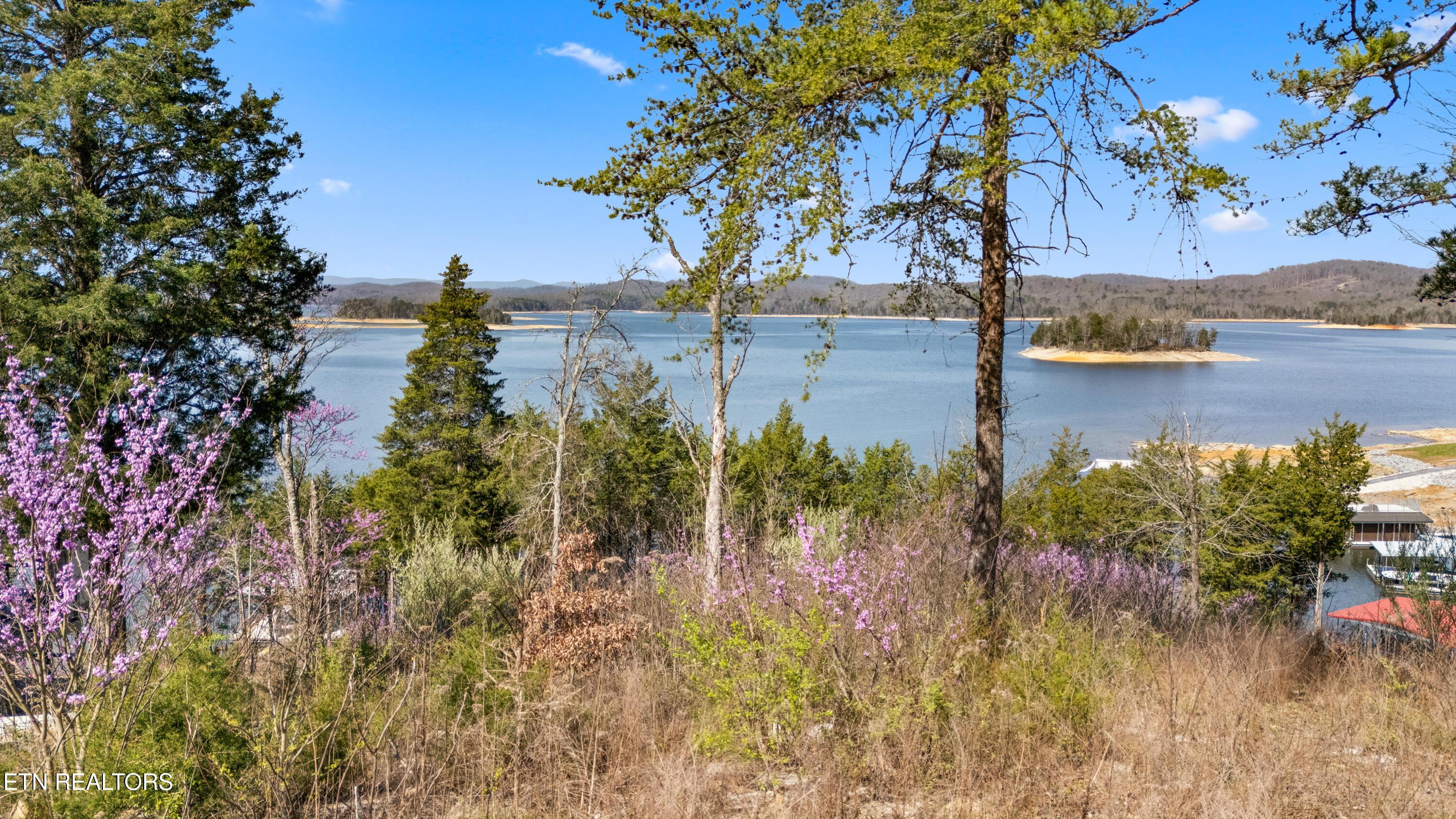 Lot 765 Russell Brothers Rd, Sharps Chapel, TN - Norris Lake Real Estate - Image# 1