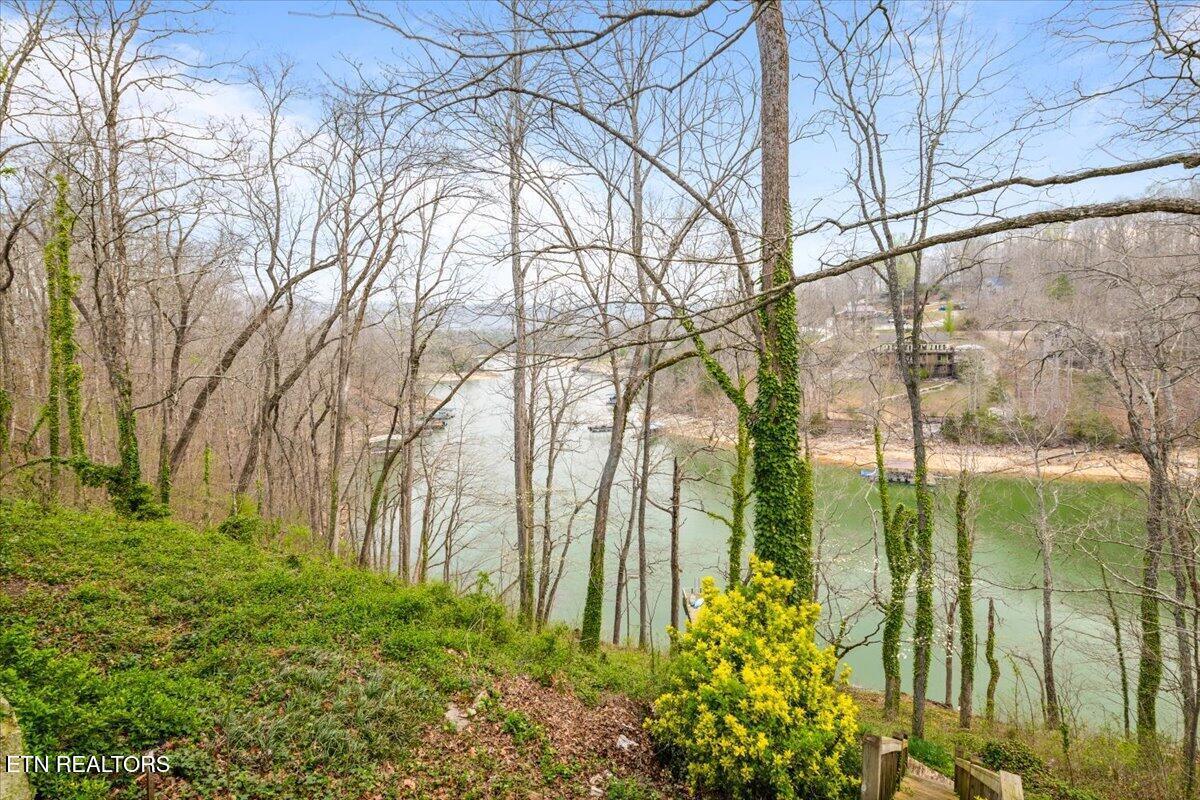 961 Indian River Boat Dock Rd, Jacksboro, TN - Norris Lake Real Estate - Image# 39