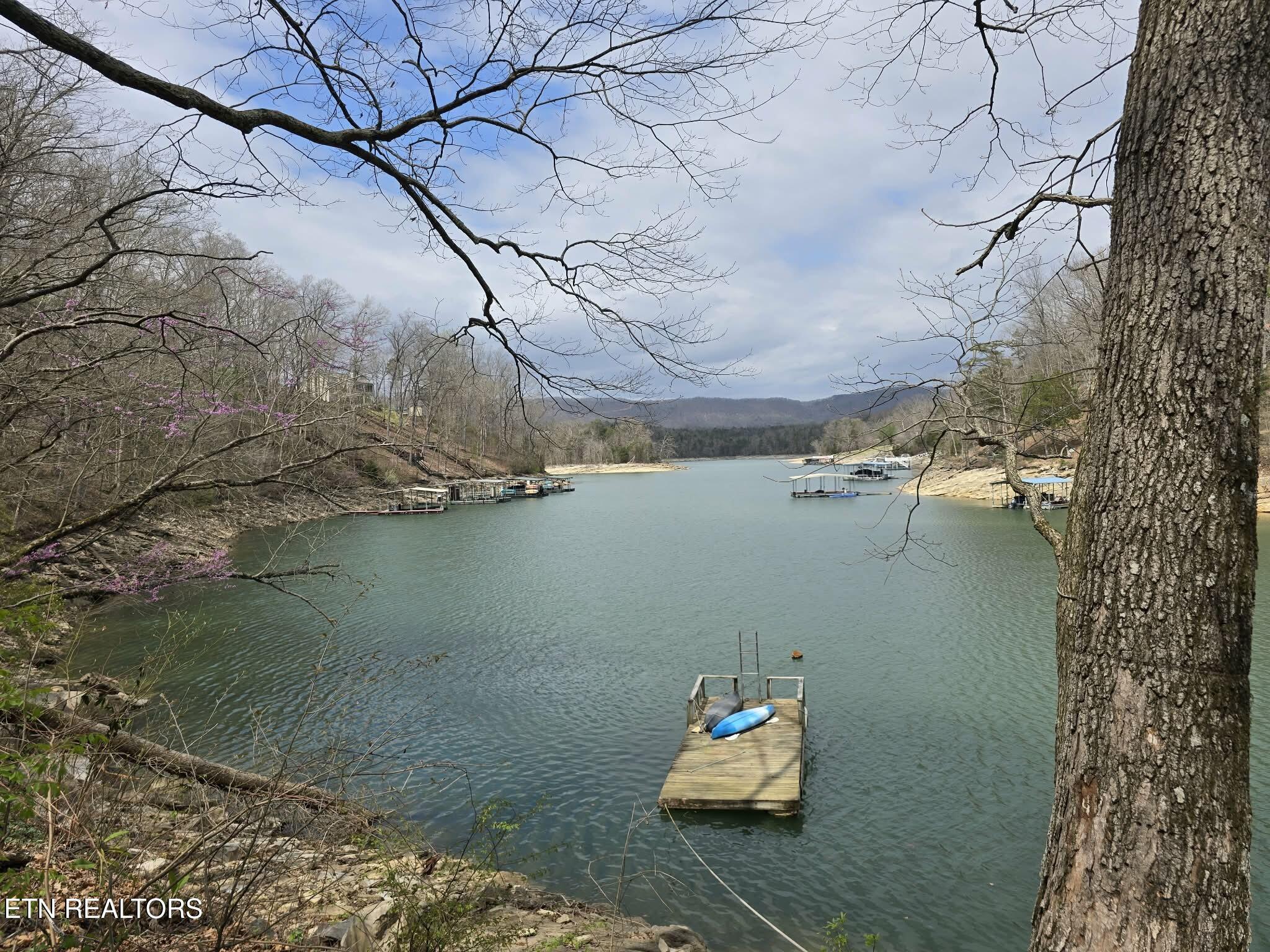 961 Indian River Boat Dock Rd, Jacksboro, TN - Norris Lake Real Estate - Image# 48