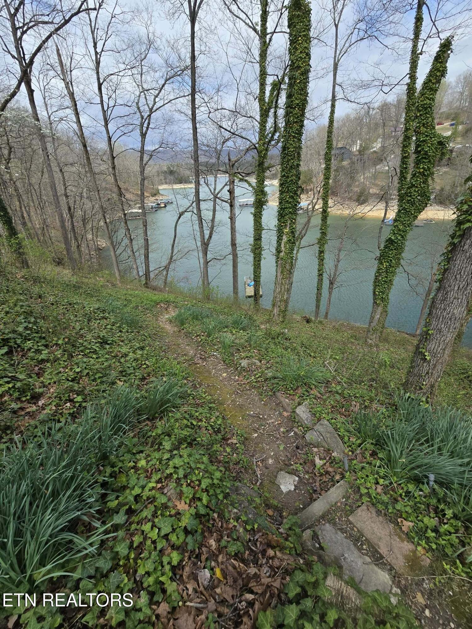 961 Indian River Boat Dock Rd, Jacksboro, TN - Norris Lake Real Estate - Image# 51