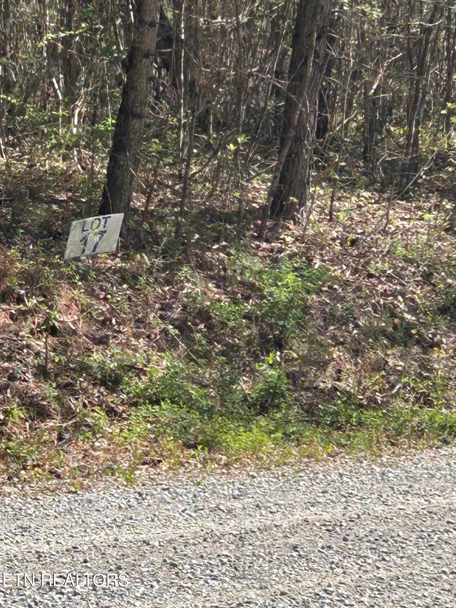 Norris Lake Real Estate - Image# 3