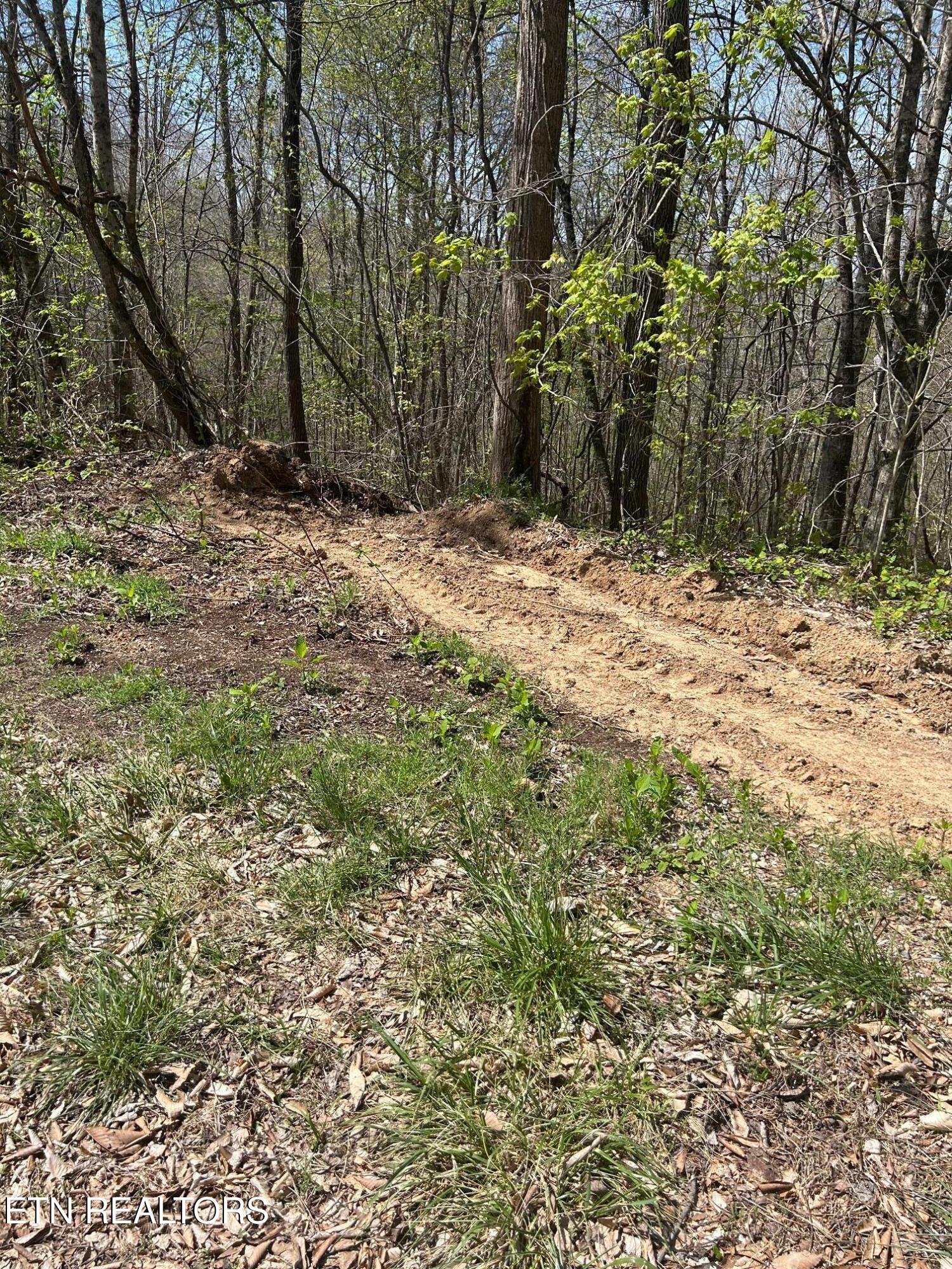 Norris Lake Real Estate - Image# 9