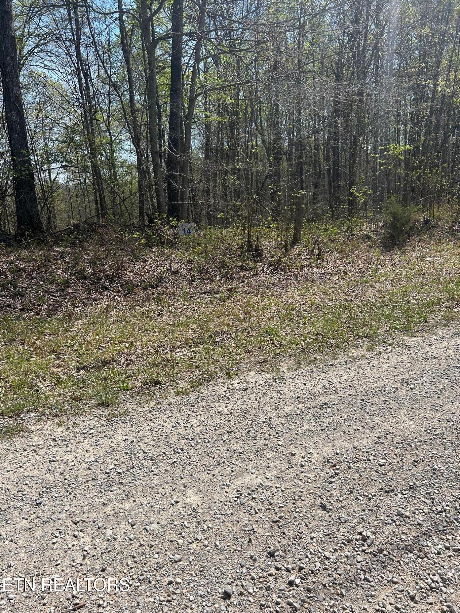 Norris Lake Real Estate - Image# 3