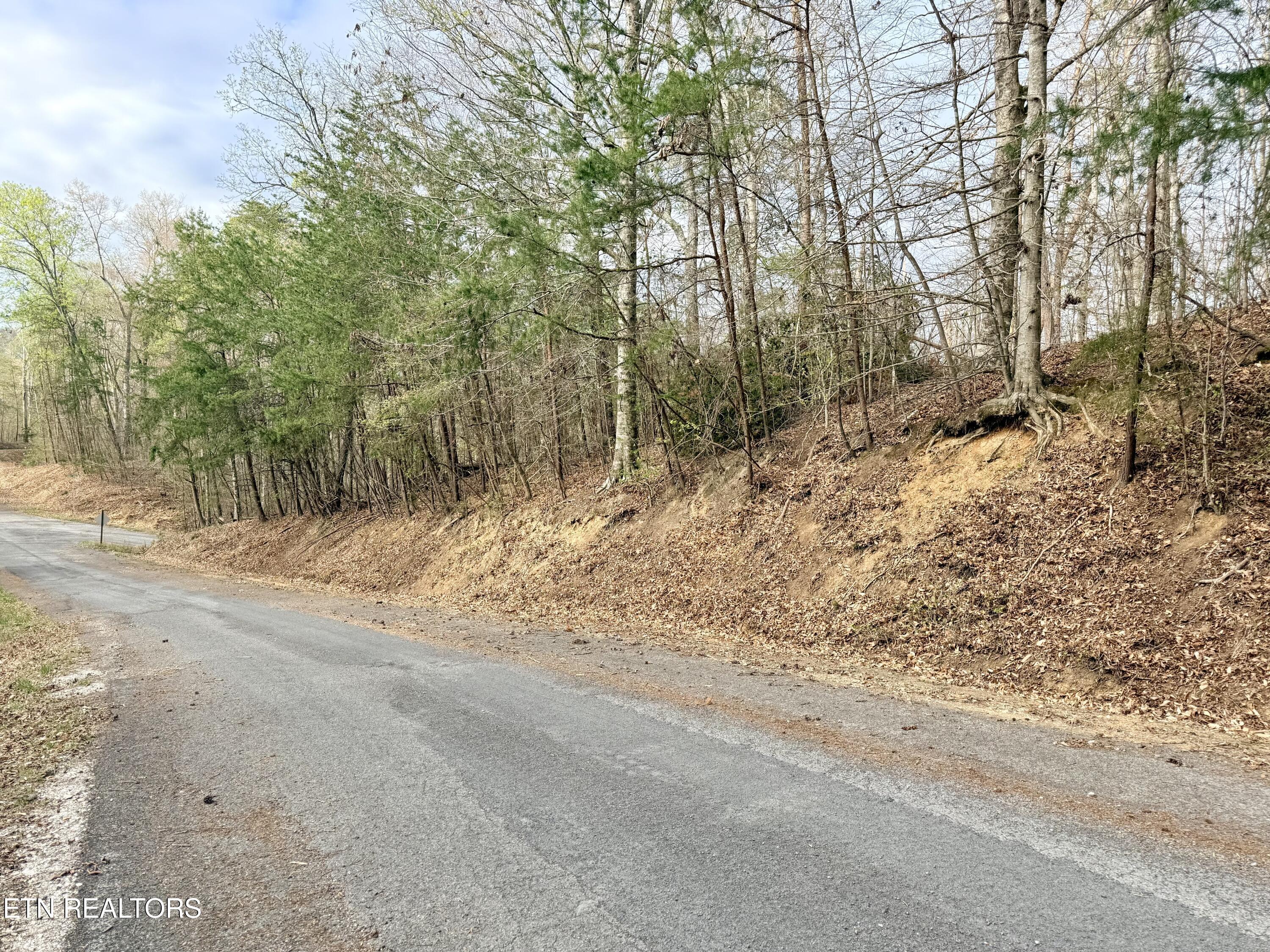 Lot 77 Grandpas Ridge, Sharps Chapel, TN - Norris Lake Real Estate - Image# 3