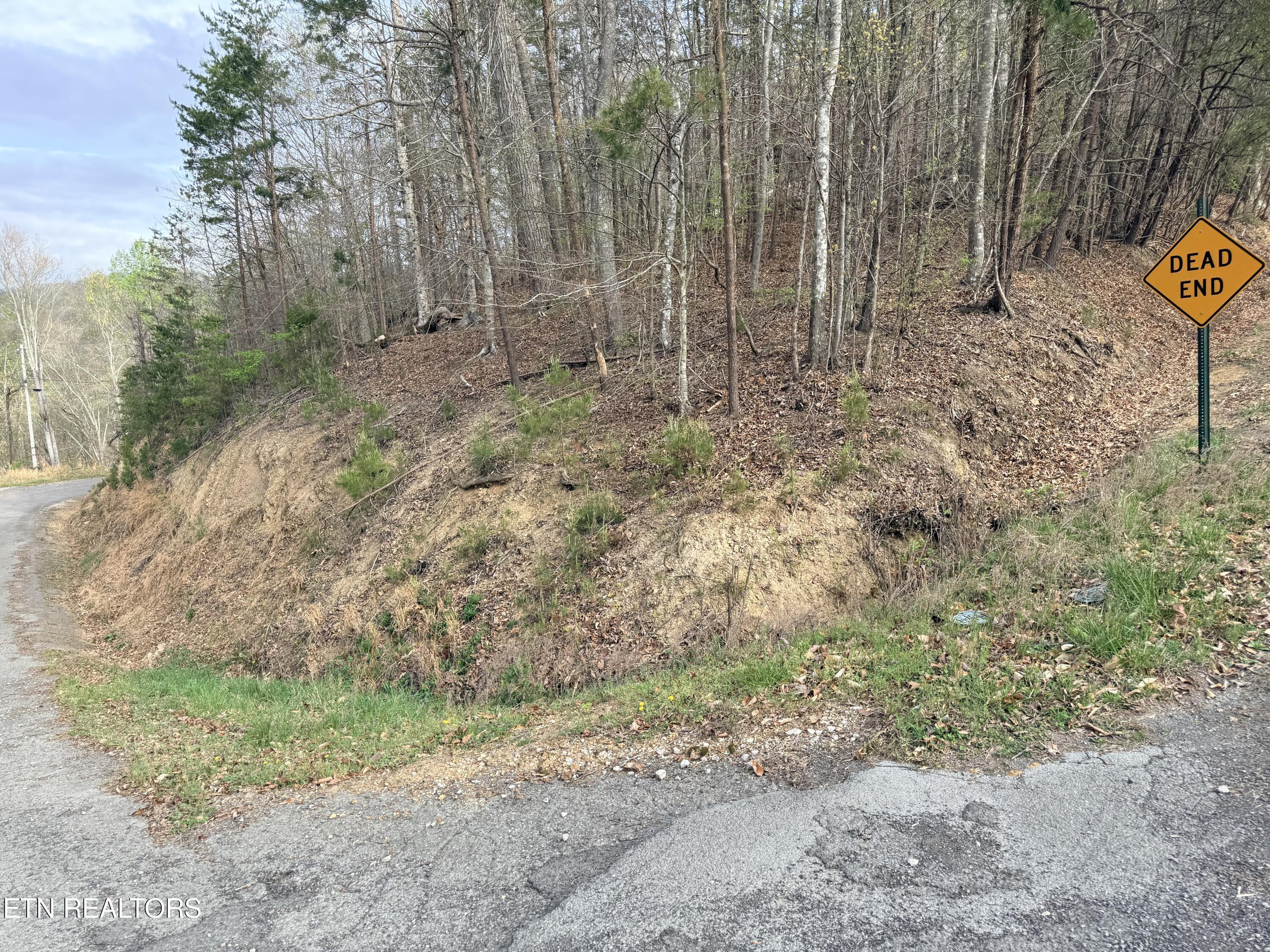 Lot 77 Grandpas Ridge, Sharps Chapel, TN - Norris Lake Real Estate - Image# 2