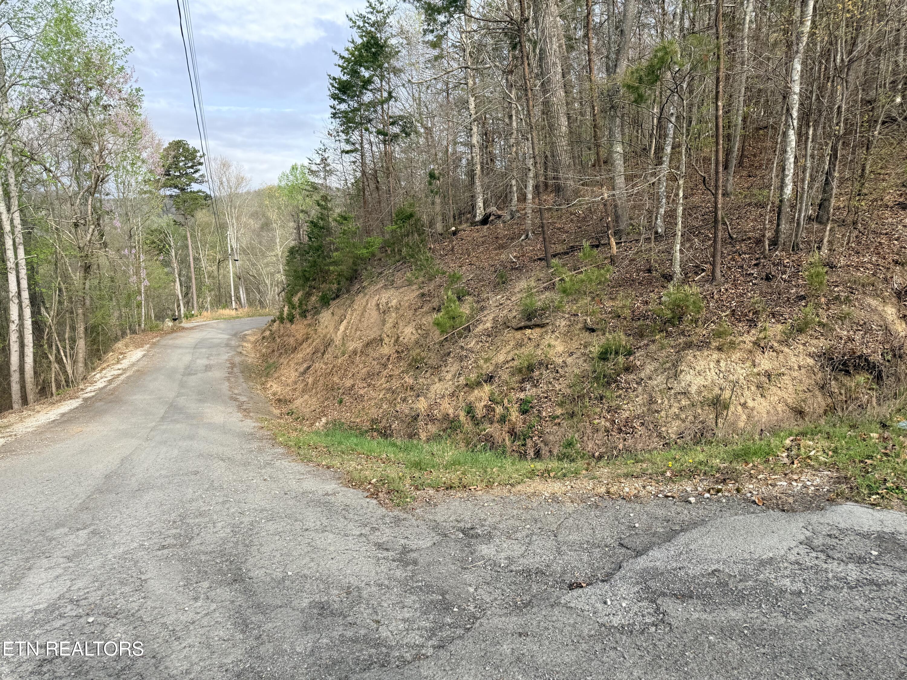 Lot 77 Grandpas Ridge, Sharps Chapel, TN - Norris Lake Real Estate - Image# 6