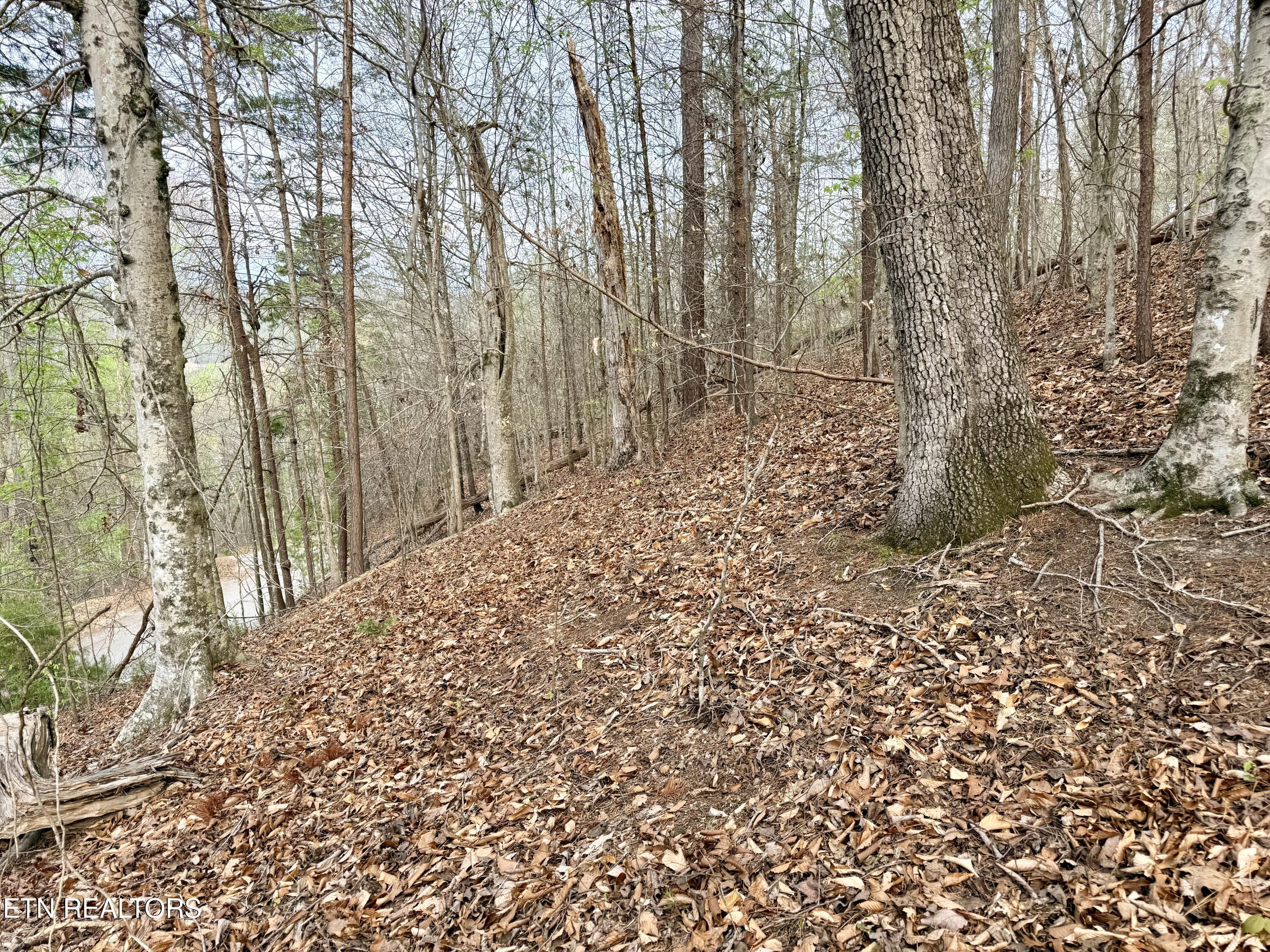Lot 77 Grandpas Ridge, Sharps Chapel, TN - Norris Lake Real Estate - Image# 12