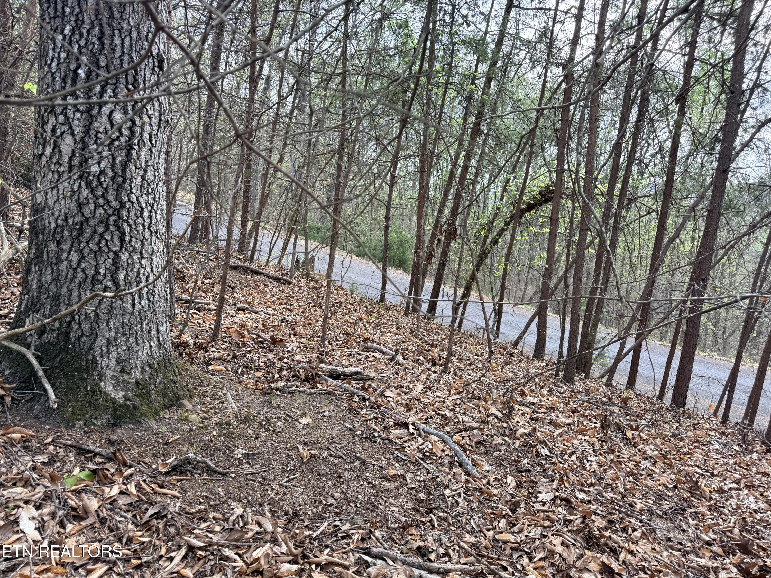 Lot 77 Grandpas Ridge, Sharps Chapel, TN - Norris Lake Real Estate - Image# 14