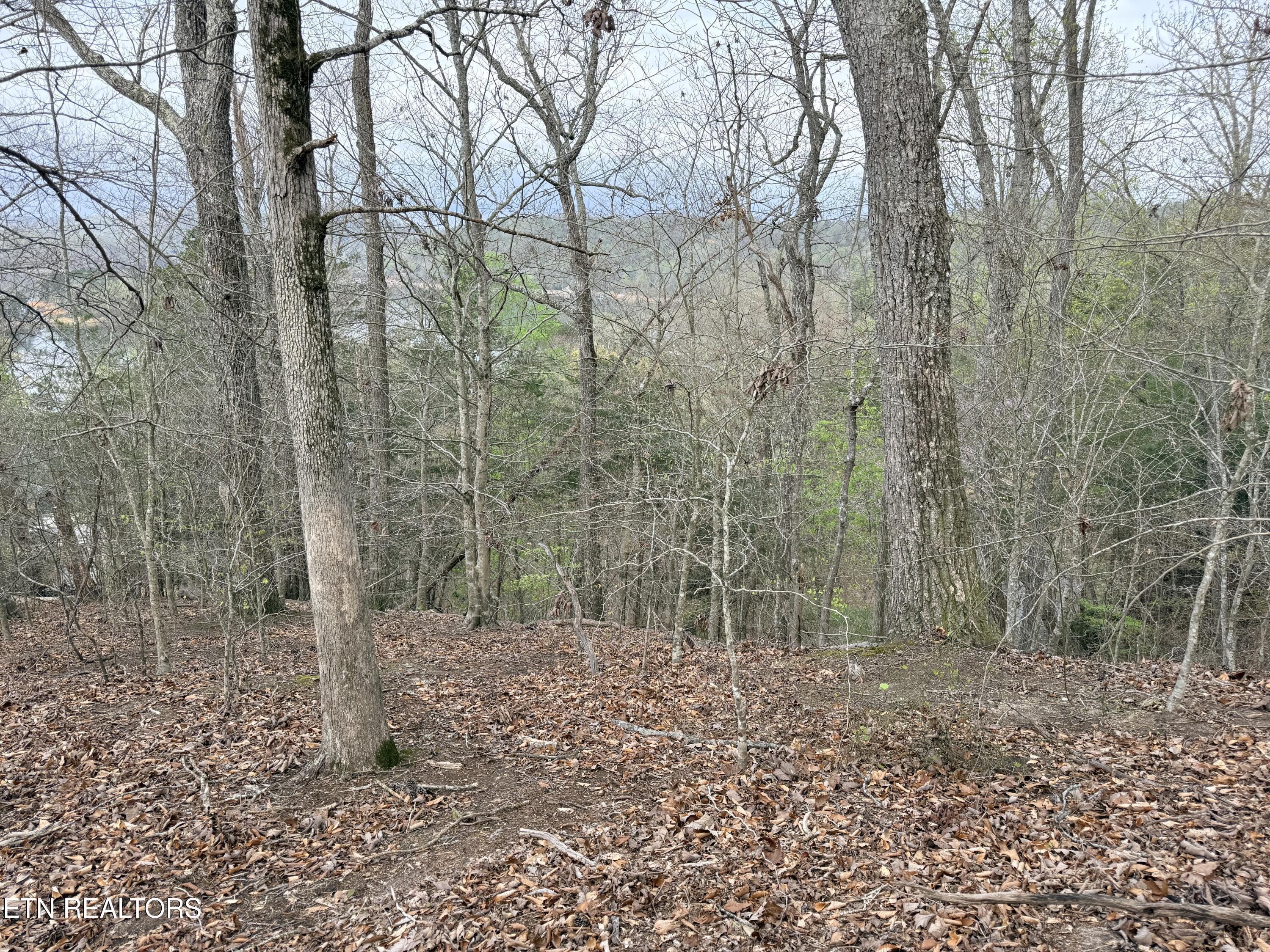 Lot 77 Grandpas Ridge, Sharps Chapel, TN - Norris Lake Real Estate - Image# 17