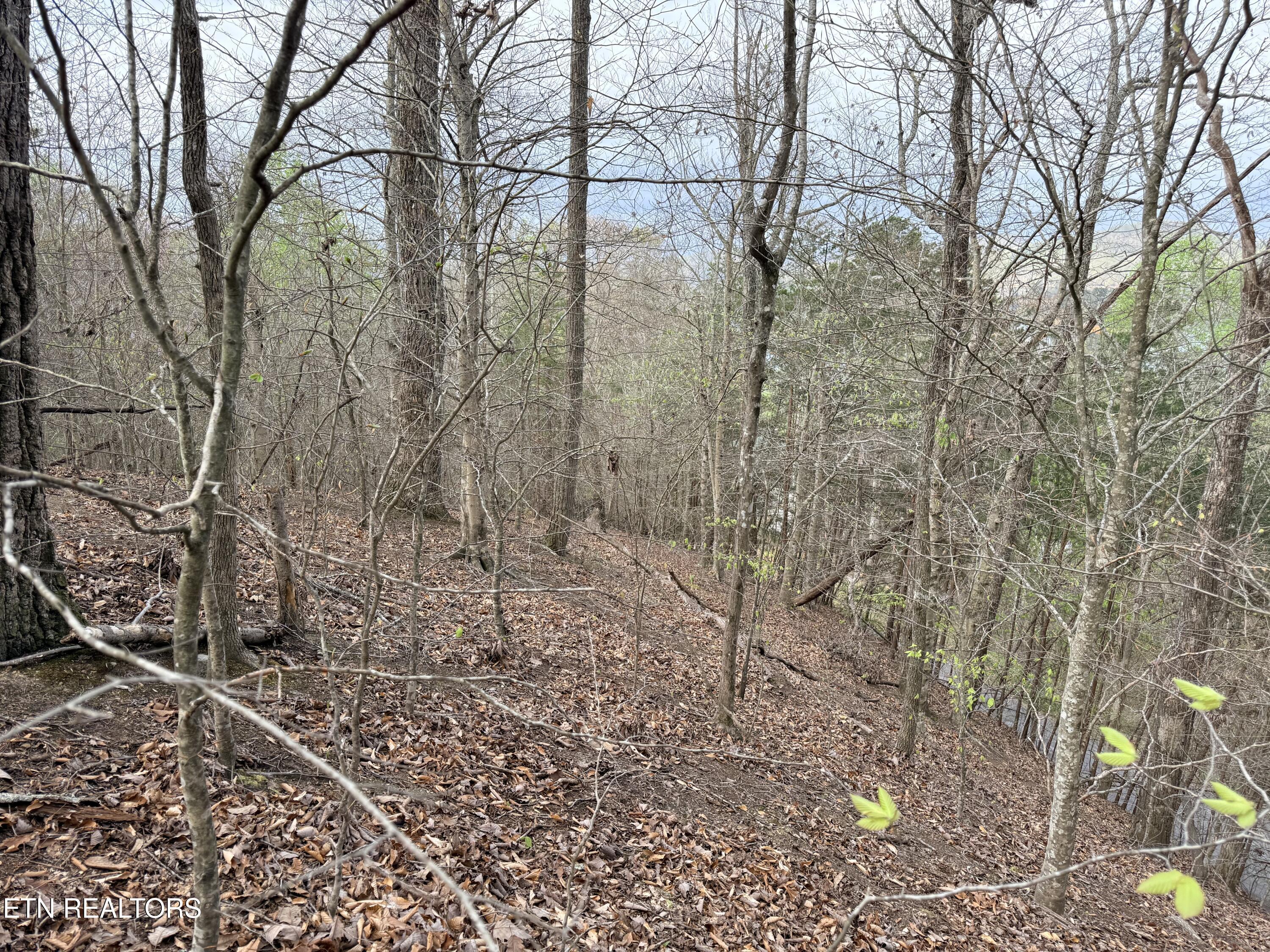 Lot 77 Grandpas Ridge, Sharps Chapel, TN - Norris Lake Real Estate - Image# 21