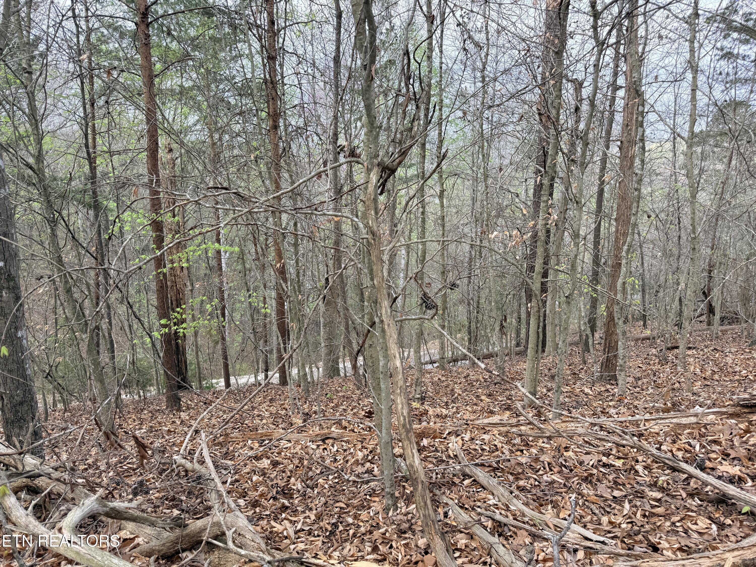 Lot 77 Grandpas Ridge, Sharps Chapel, TN - Norris Lake Real Estate - Image# 25