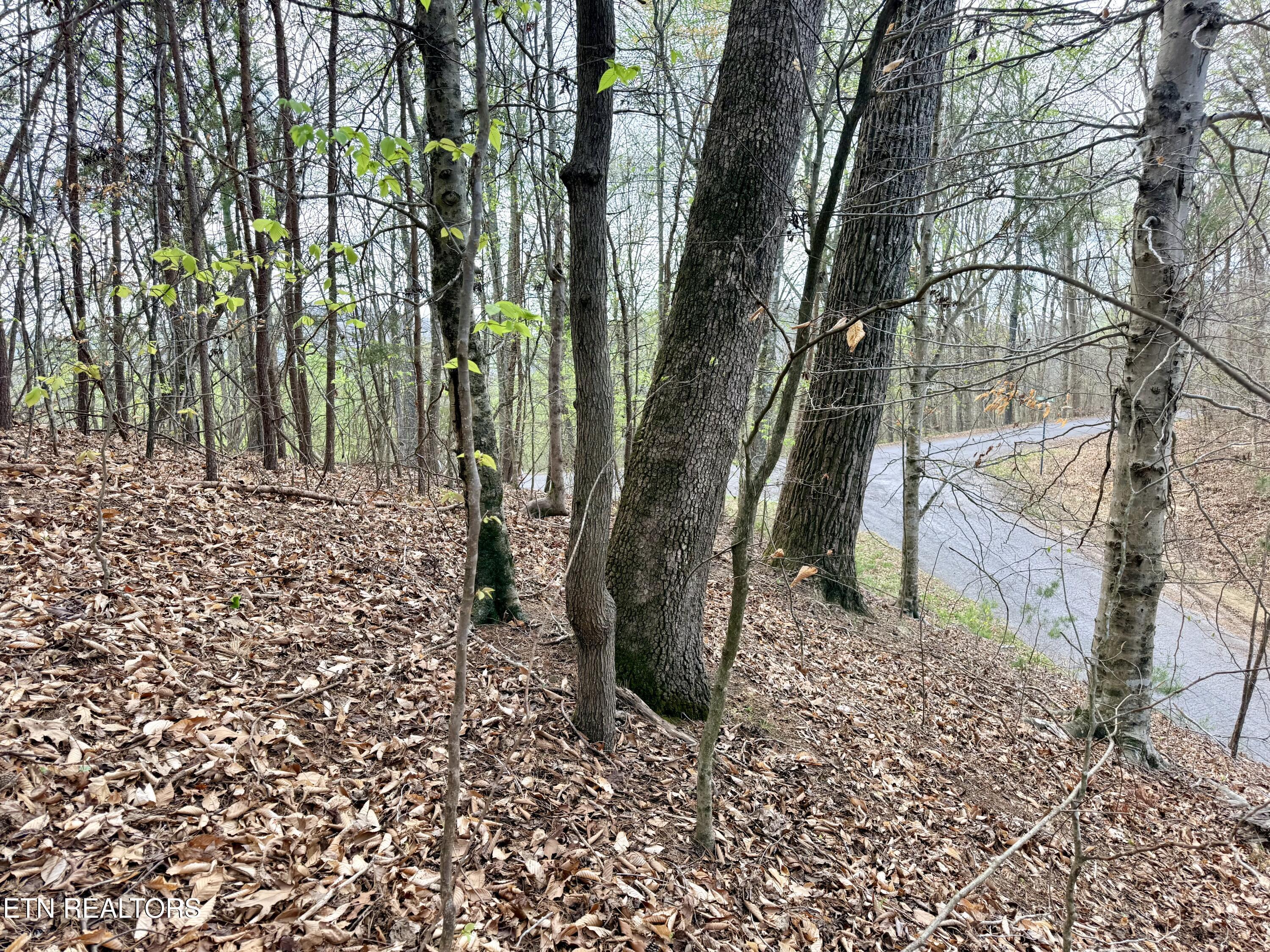 Lot 77 Grandpas Ridge, Sharps Chapel, TN - Norris Lake Real Estate - Image# 27