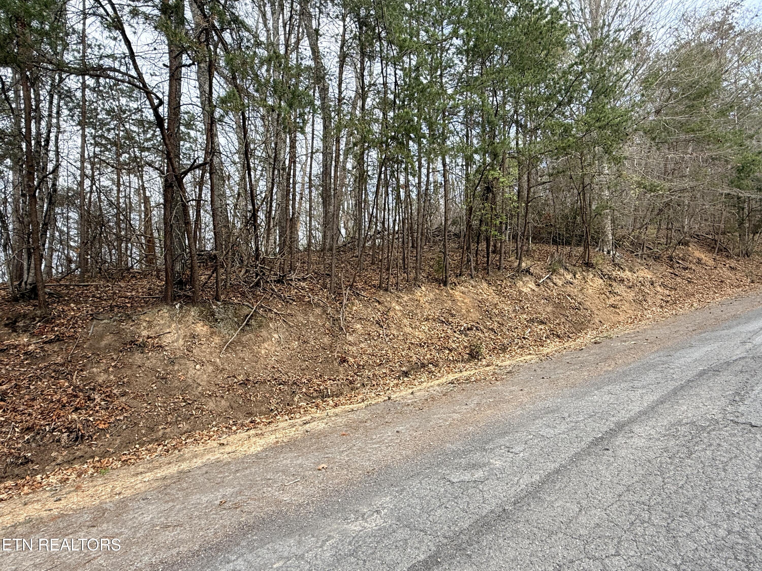 Lot 77 Grandpas Ridge, Sharps Chapel, TN - Norris Lake Real Estate - Image# 1