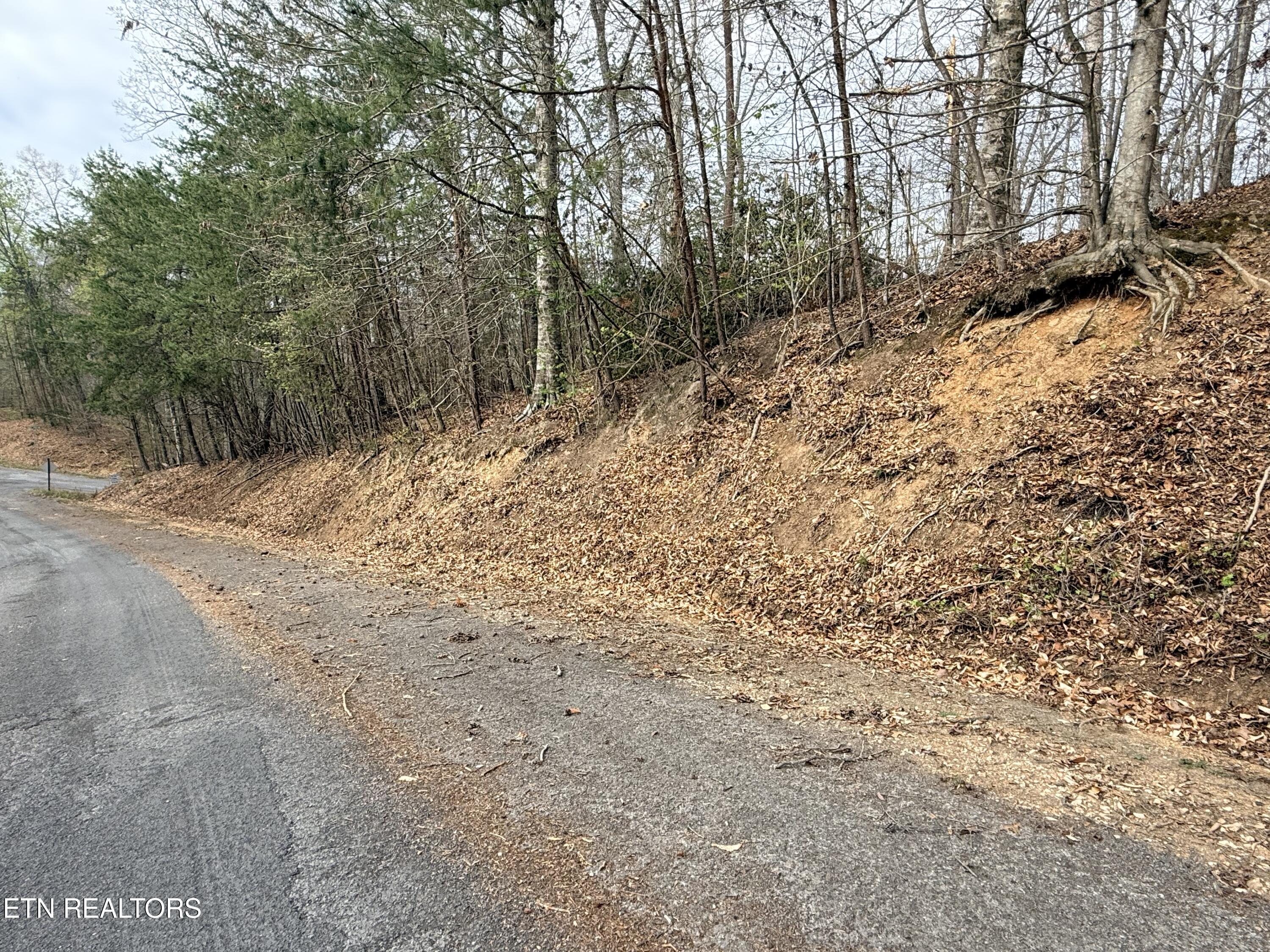Lot 77 Grandpas Ridge, Sharps Chapel, TN - Norris Lake Real Estate - Image# 29