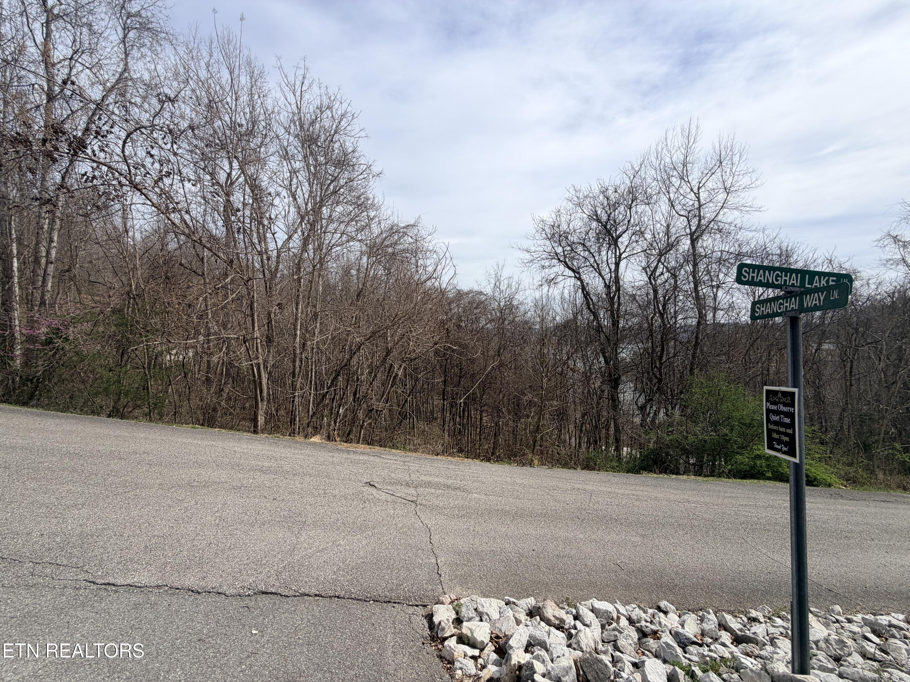 Shanghai Lake Lane, Lafollette, TN - Norris Lake Real Estate - Image# 8