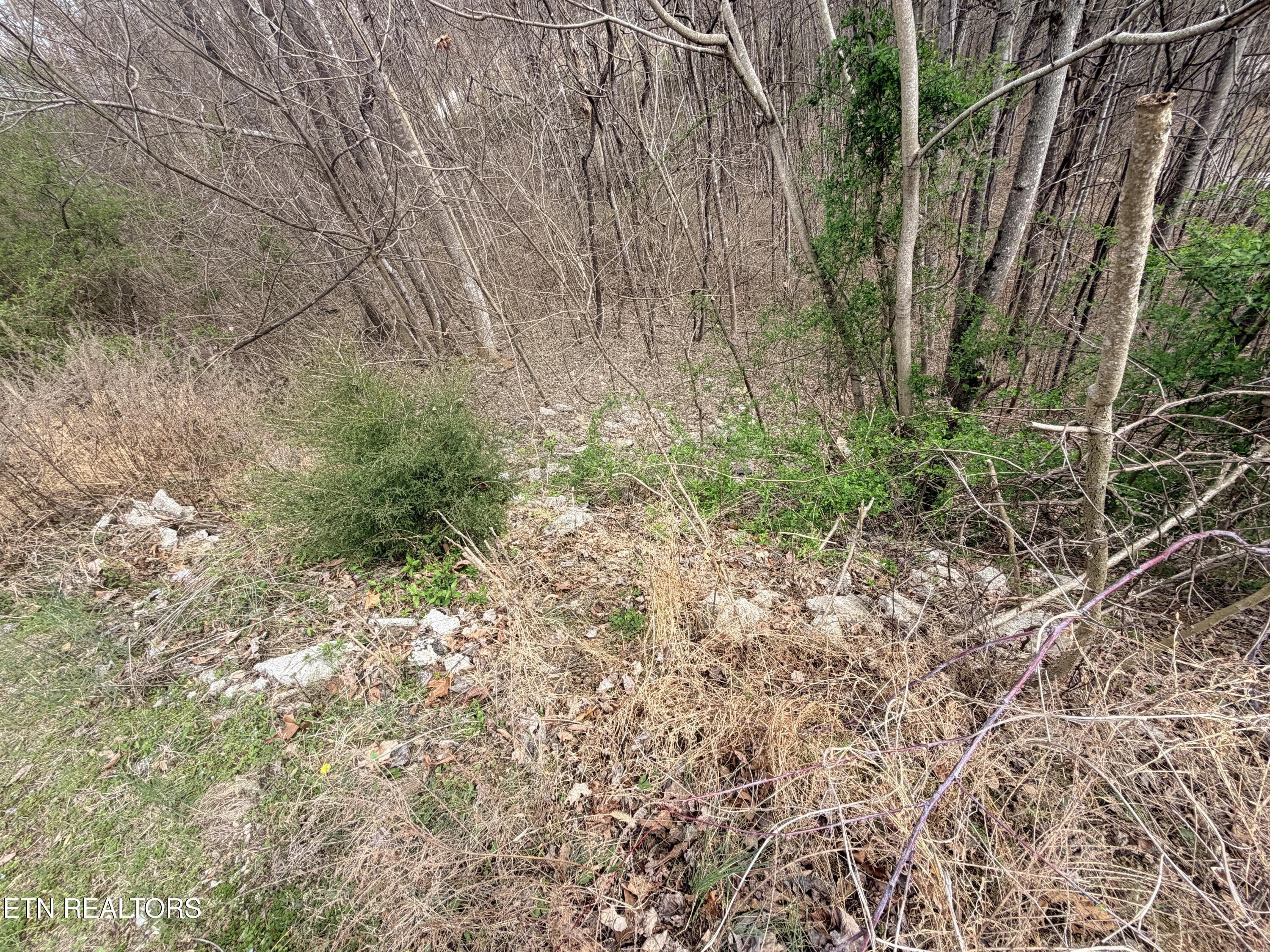 Shanghai Lake Lane, Lafollette, TN - Norris Lake Real Estate - Image# 12