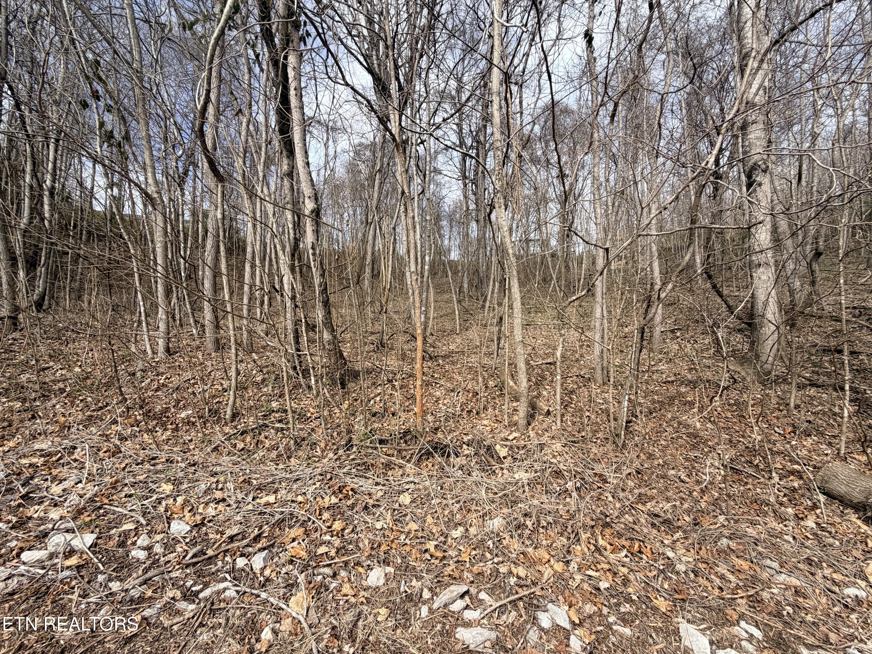 Shanghai Lake Lane, Lafollette, TN - Norris Lake Real Estate - Image# 14