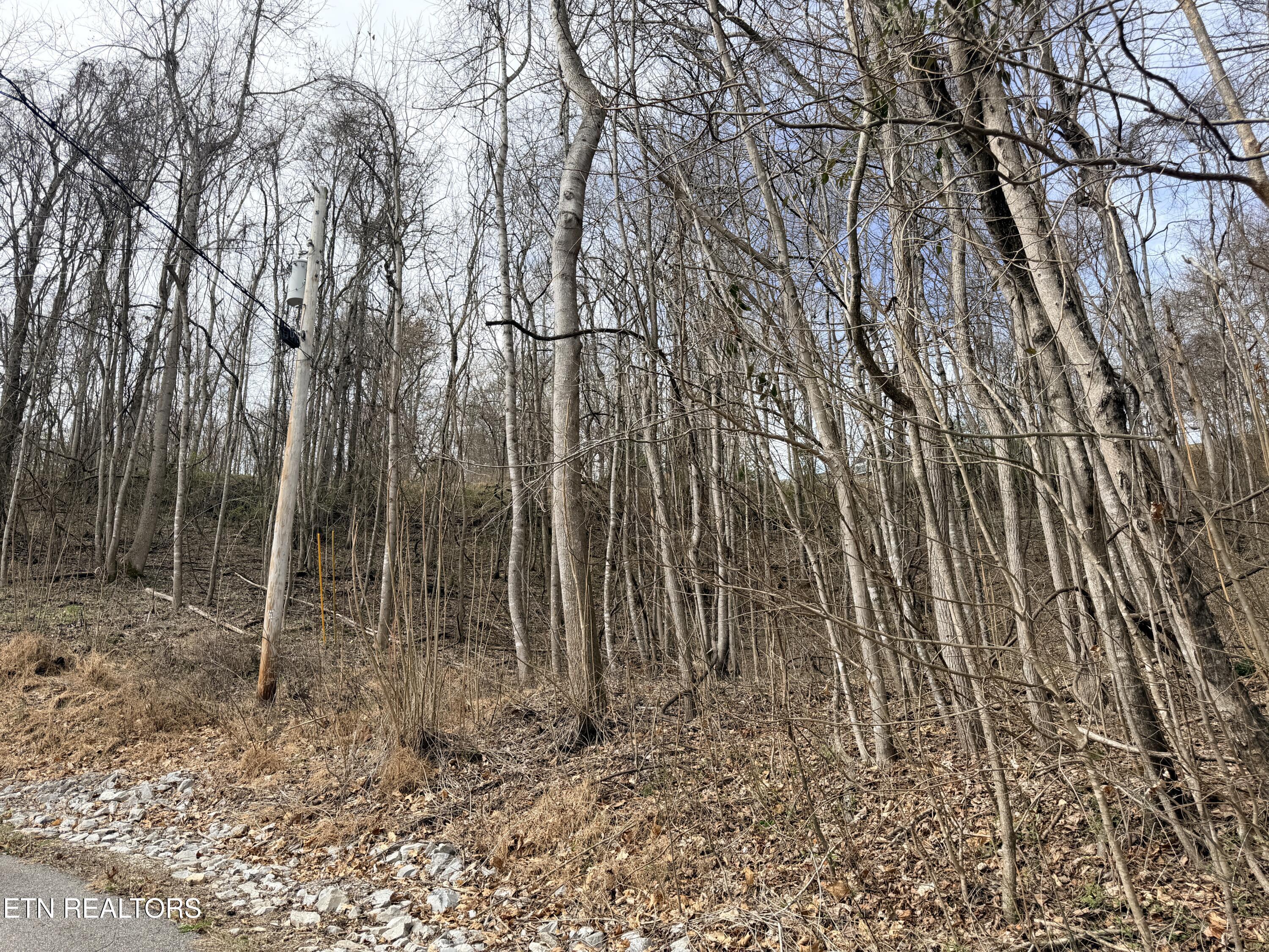 Shanghai Lake Lane, Lafollette, TN - Norris Lake Real Estate - Image# 17