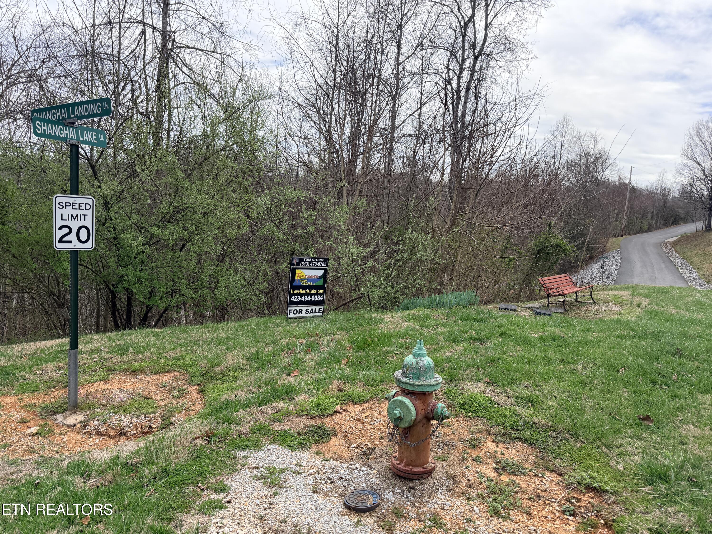 Shanghai Lake Lane, Lafollette, TN - Norris Lake Real Estate - Image# 6