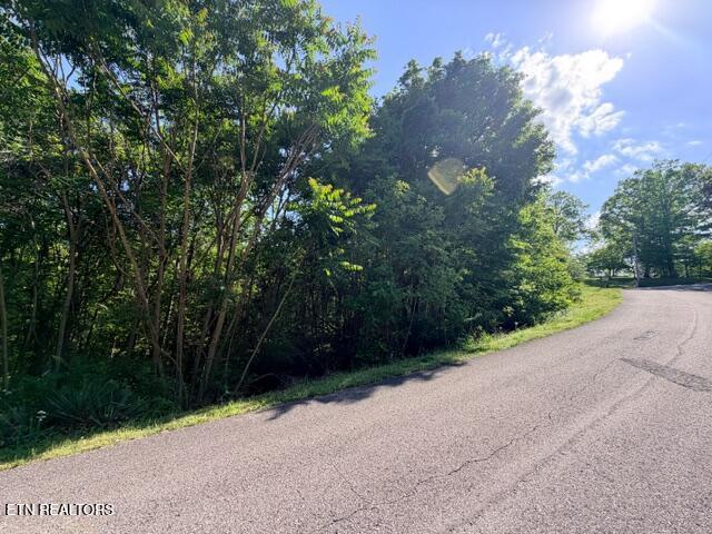 Shanghai Lake Lane, Lafollette, TN - Norris Lake Real Estate - Image# 5