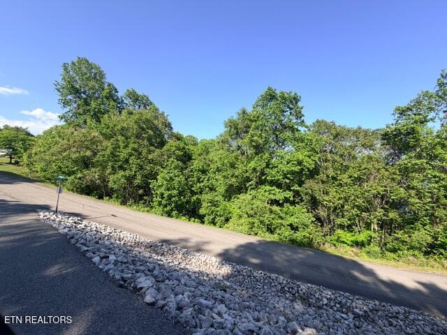 Shanghai Lake Lane, Lafollette, TN - Norris Lake Real Estate - Image# 3