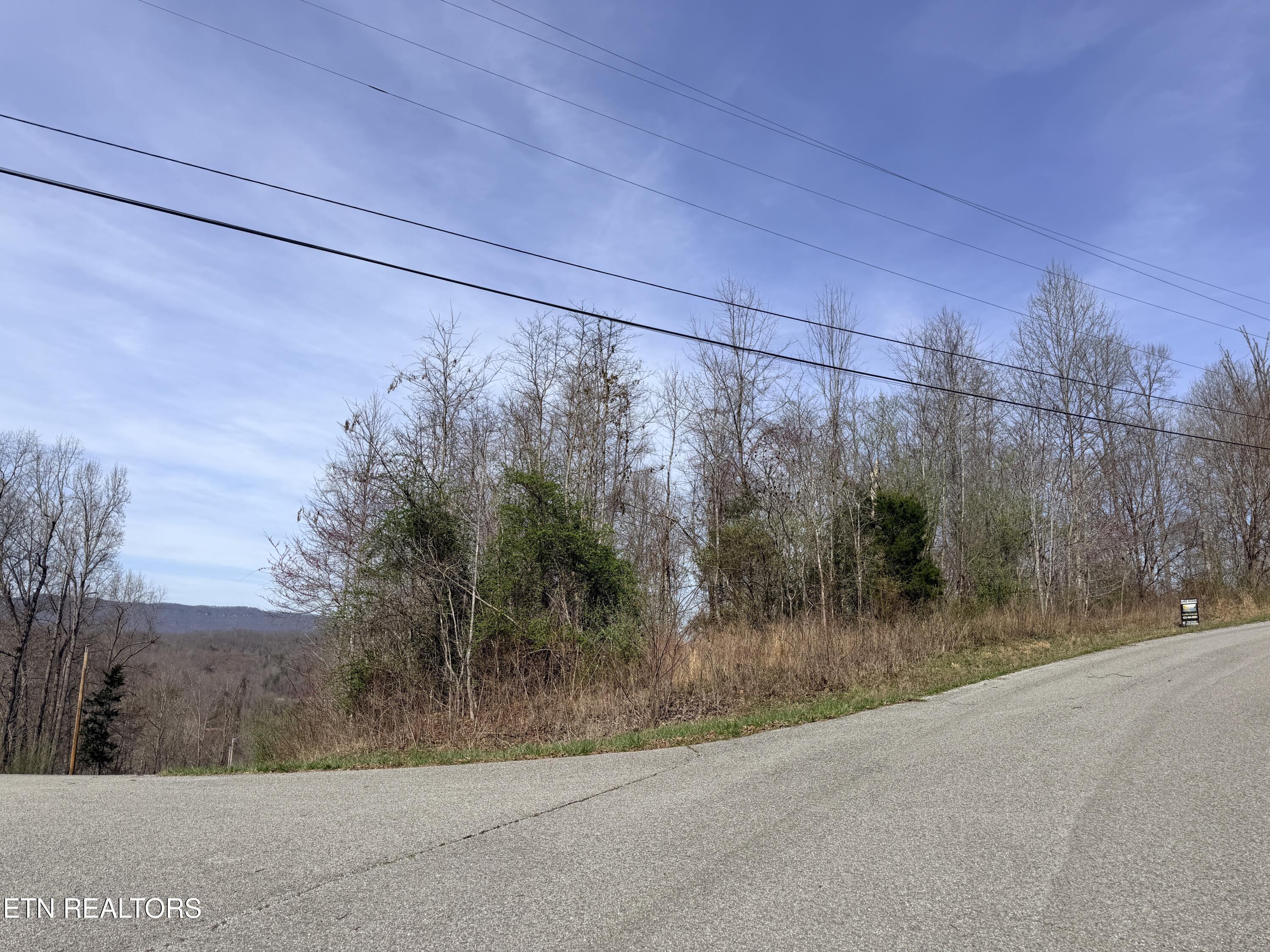 Lot 110 Harness Lane, Speedwell, TN - Norris Lake Real Estate - Image# 5