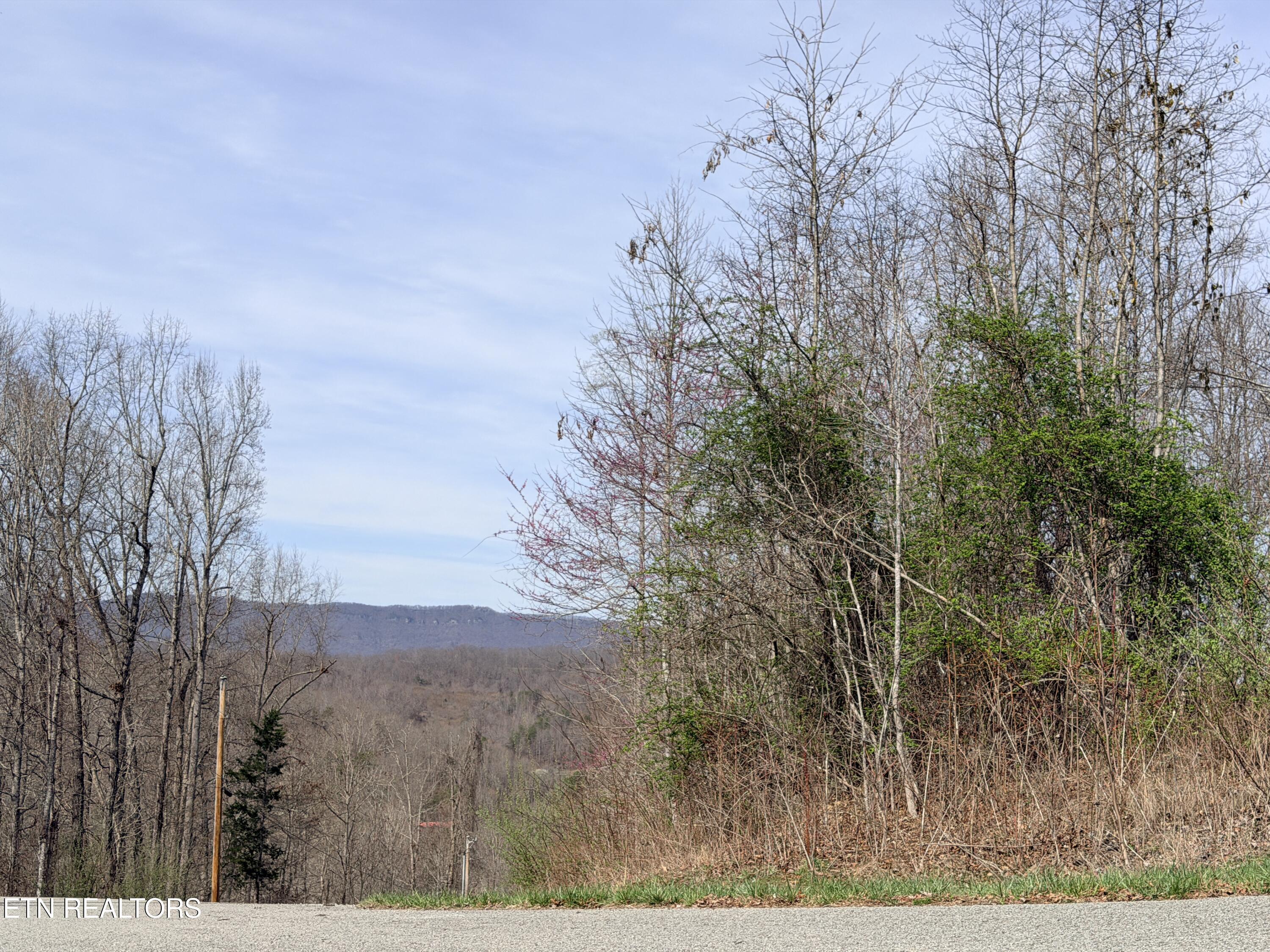 Lot 110 Harness Lane, Speedwell, TN - Norris Lake Real Estate - Image# 6