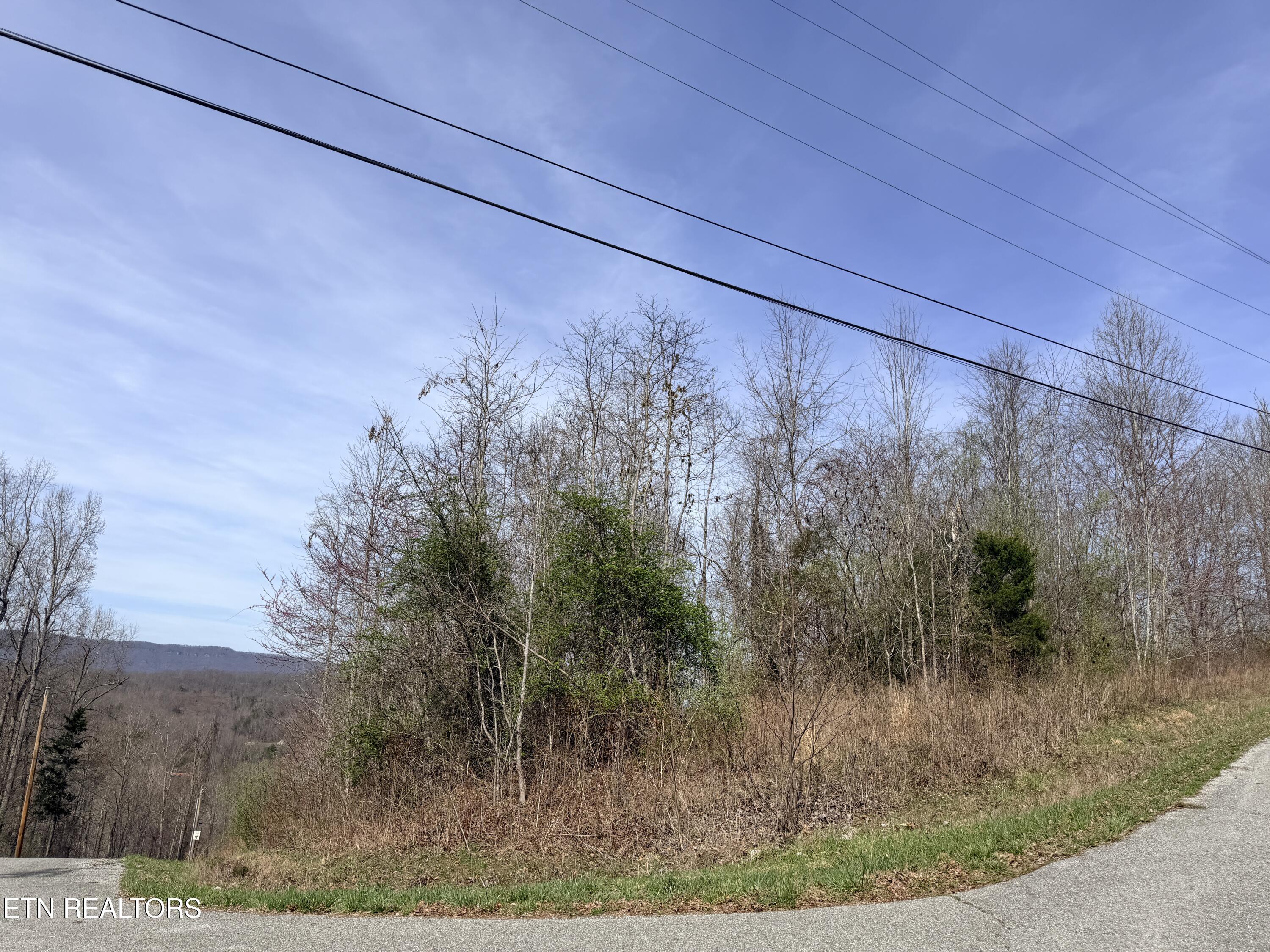 Lot 110 Harness Lane, Speedwell, TN - Norris Lake Real Estate - Image# 7