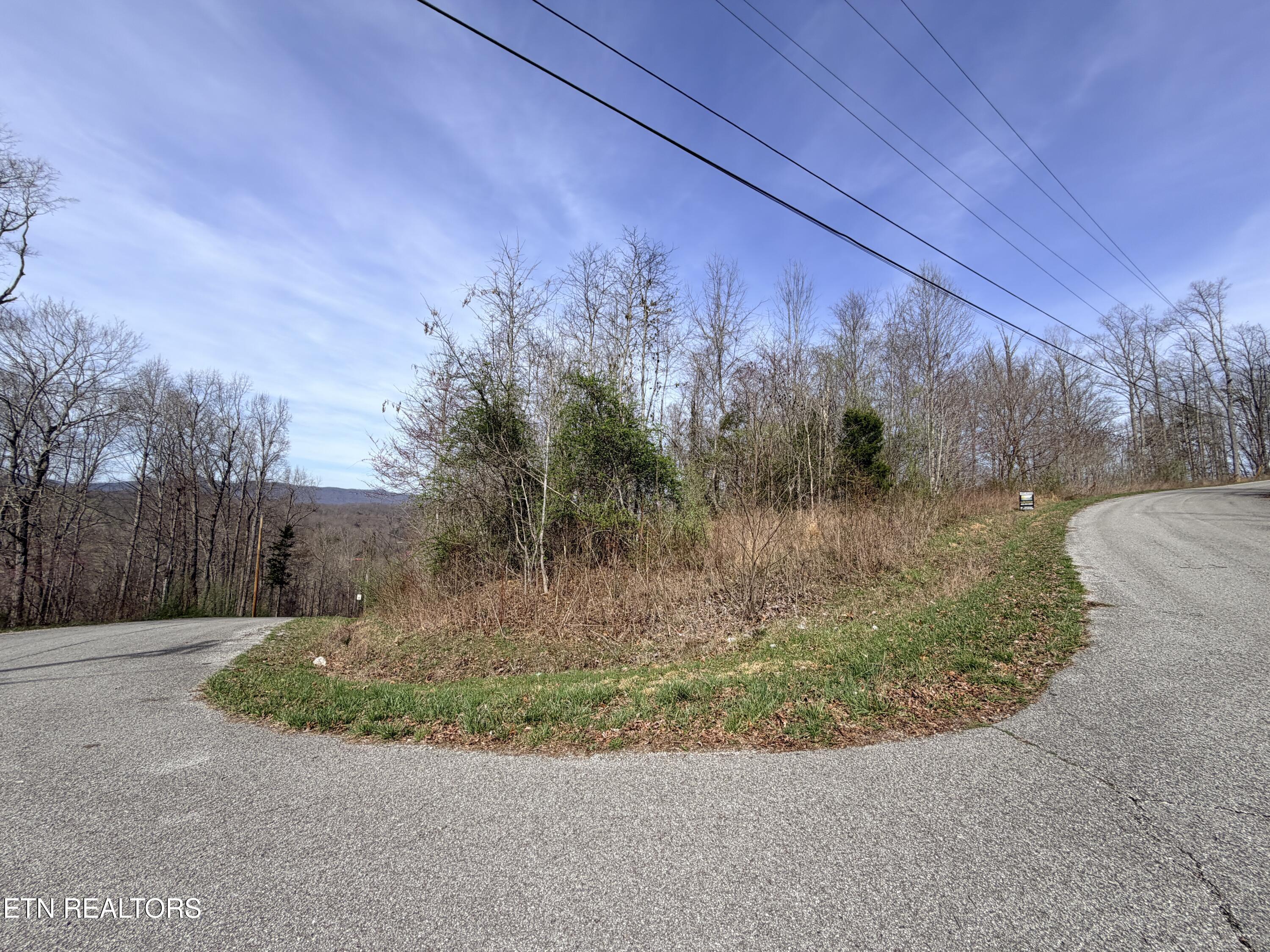 Lot 110 Harness Lane, Speedwell, TN - Norris Lake Real Estate - Image# 8