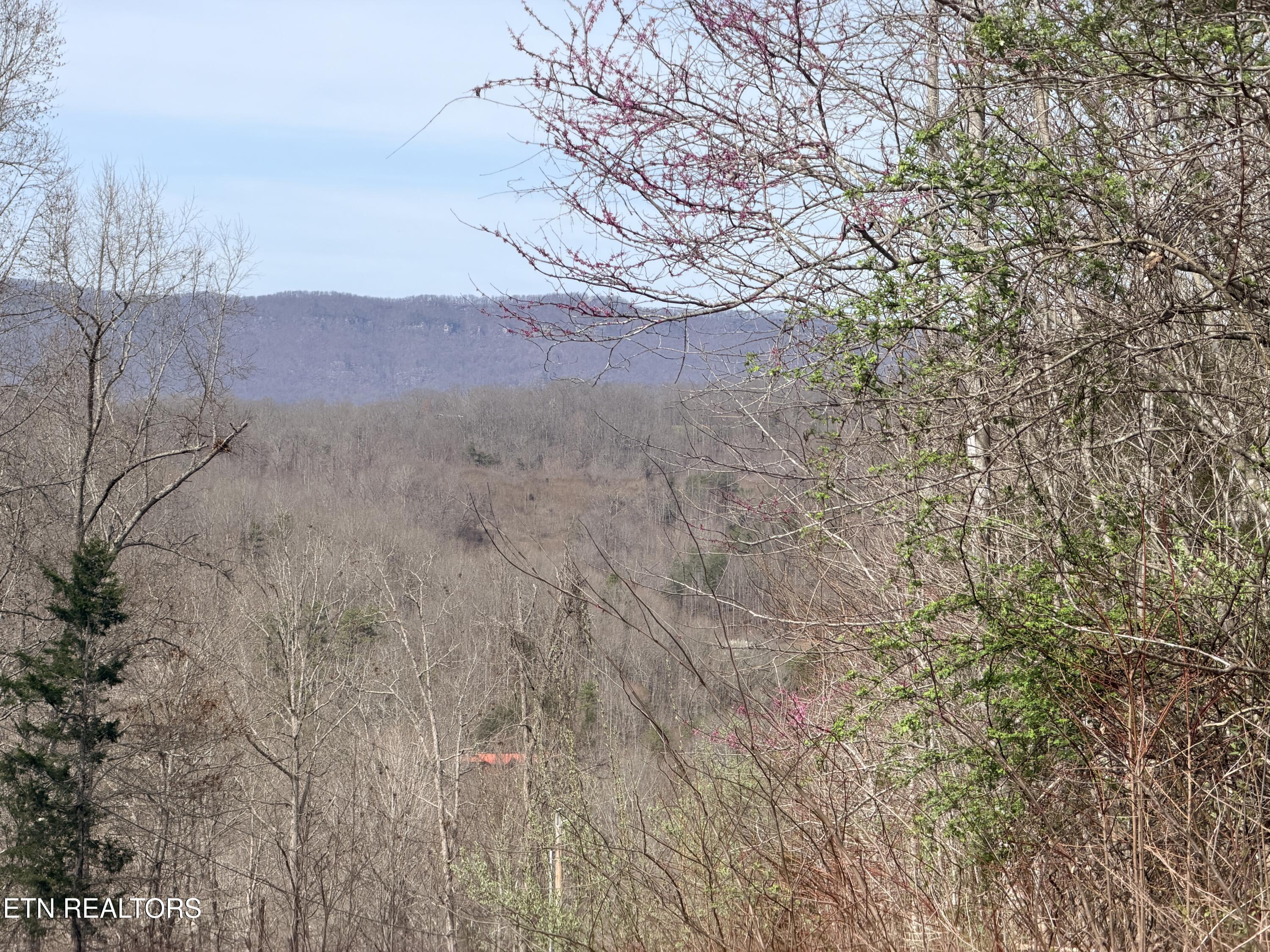 Lot 110 Harness Lane, Speedwell, TN - Norris Lake Real Estate - Image# 9