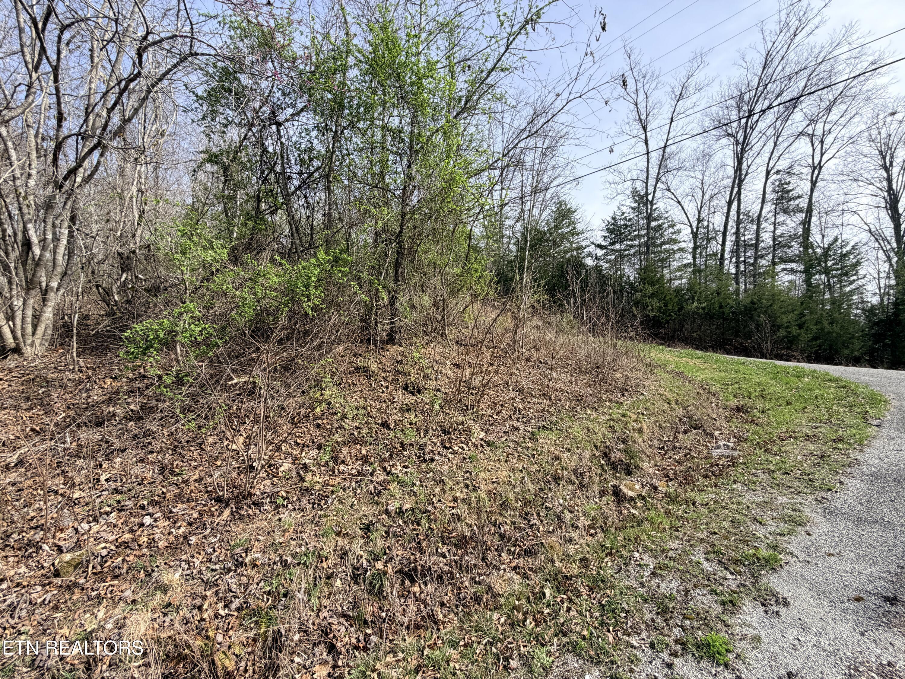Lot 110 Harness Lane, Speedwell, TN - Norris Lake Real Estate - Image# 10