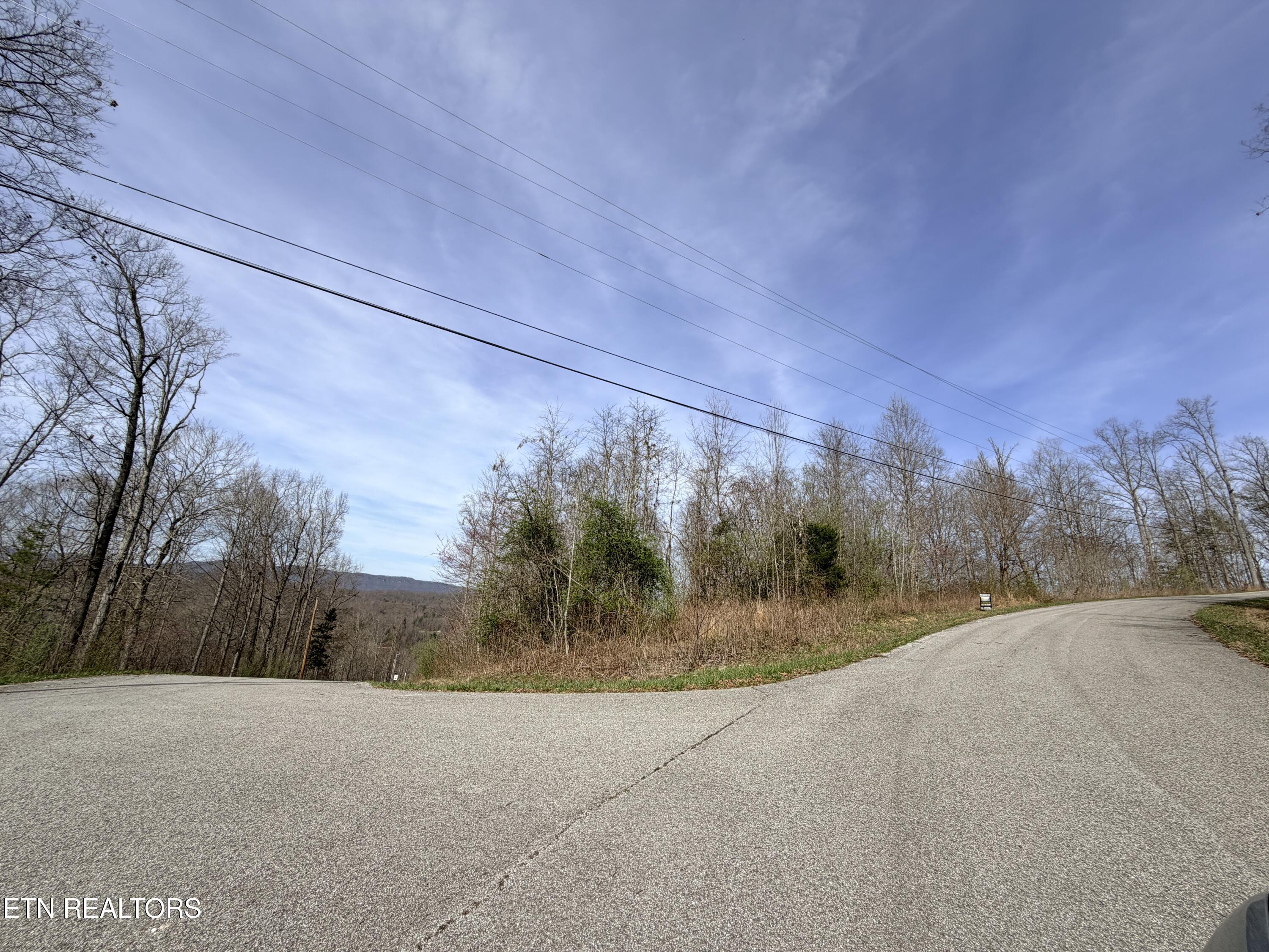 Lot 110 Harness Lane, Speedwell, TN - Norris Lake Real Estate - Image# 14