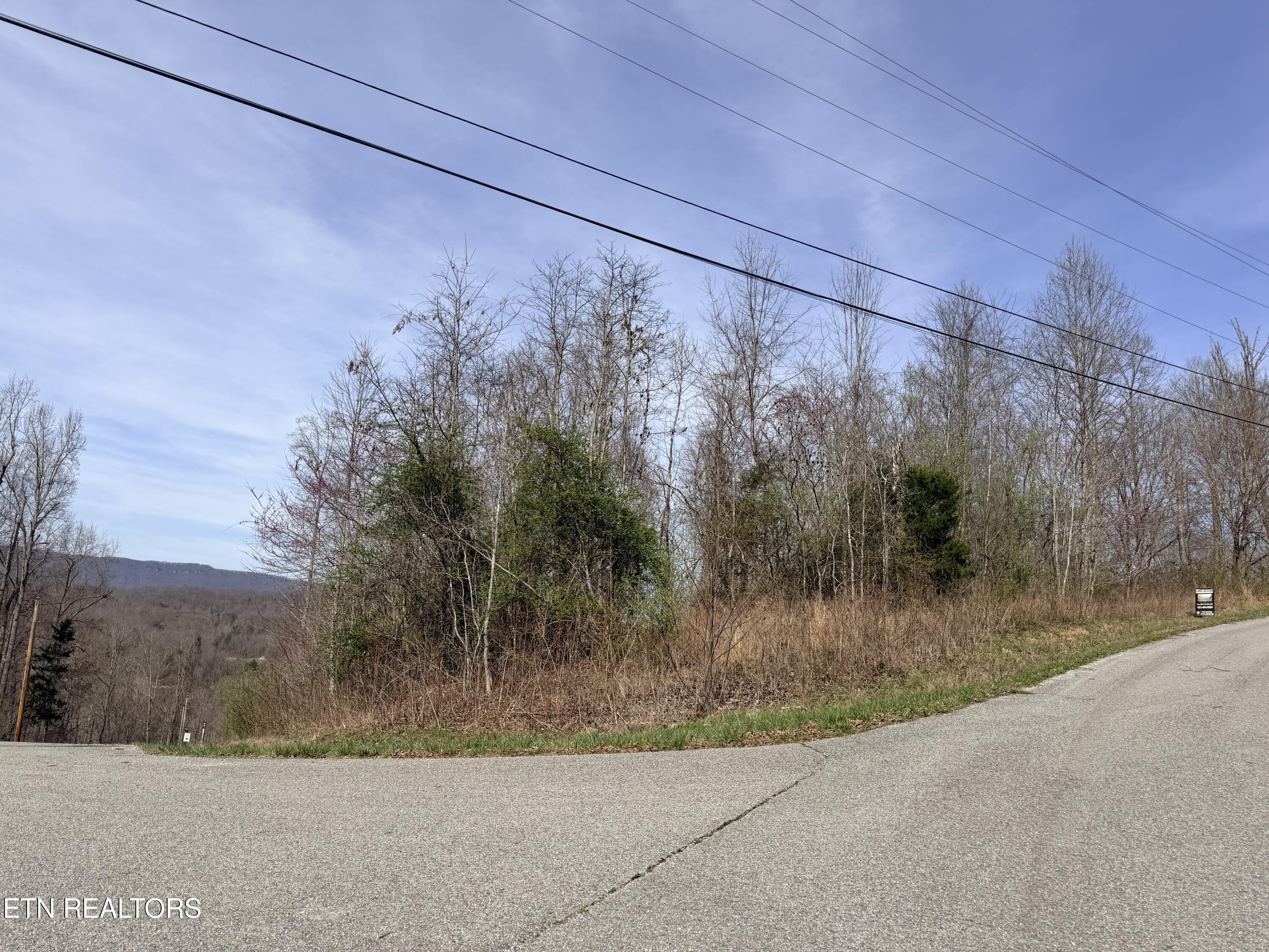 Lot 110 Harness Lane, Speedwell, TN - Norris Lake Real Estate - Image# 15