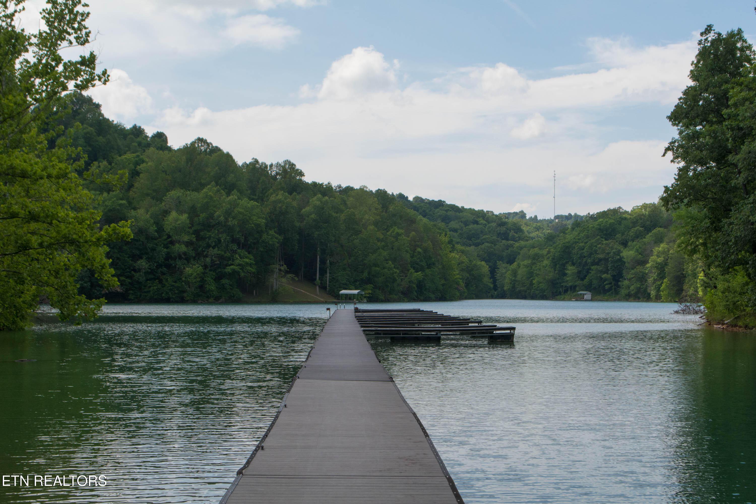 Lot 110 Harness Lane, Speedwell, TN - Norris Lake Real Estate - Image# 24
