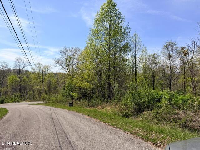 Lot 110 Harness Lane, Speedwell, TN - Norris Lake Real Estate - Image# 2