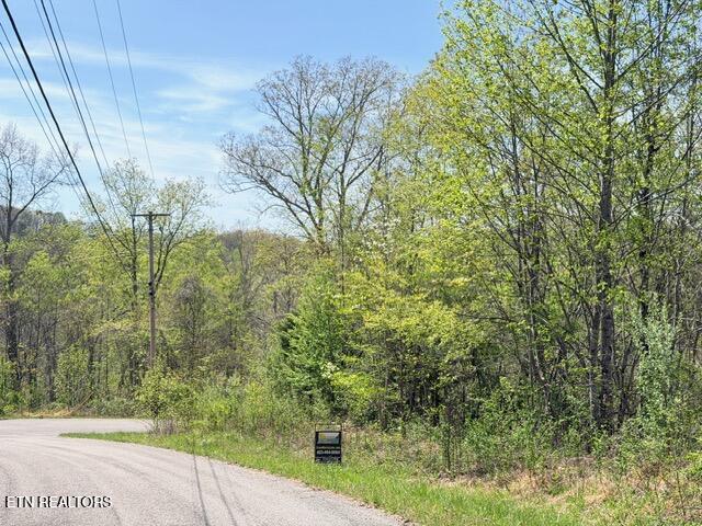 Lot 110 Harness Lane, Speedwell, TN - Norris Lake Real Estate - Image# 16
