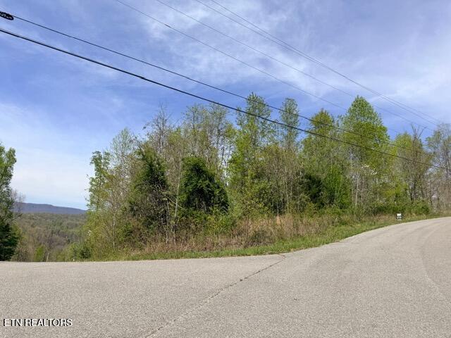 Lot 110 Harness Lane, Speedwell, TN - Norris Lake Real Estate - Image# 3
