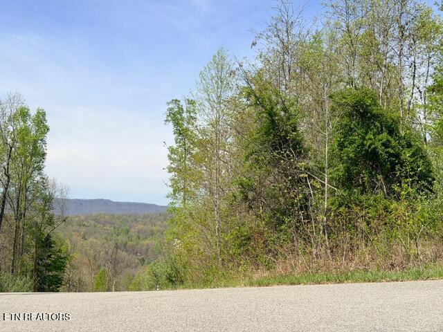 Lot 110 Harness Lane, Speedwell, TN - Norris Lake Real Estate - Image# 17