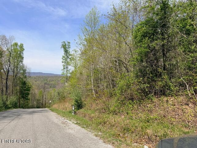 Lot 110 Harness Lane, Speedwell, TN - Norris Lake Real Estate - Image# 18