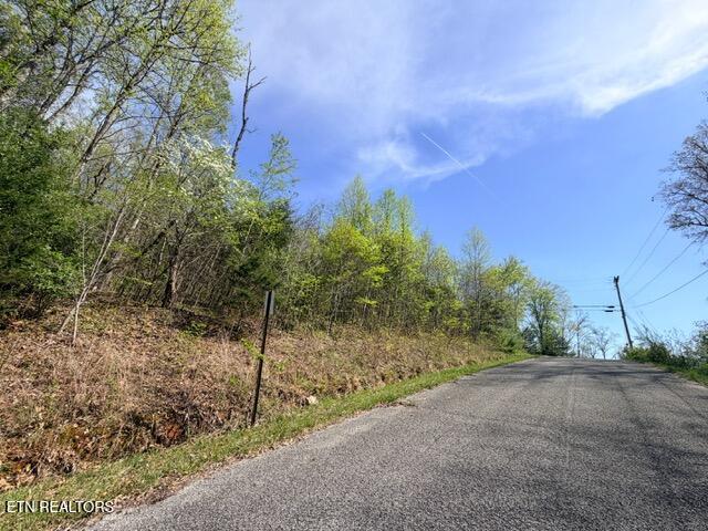 Lot 110 Harness Lane, Speedwell, TN - Norris Lake Real Estate - Image# 4