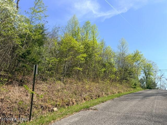 Lot 110 Harness Lane, Speedwell, TN - Norris Lake Real Estate - Image# 19