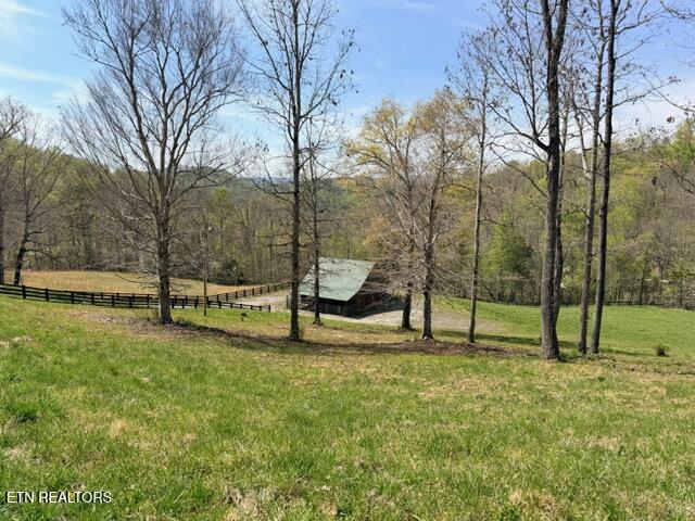 Lot 110 Harness Lane, Speedwell, TN - Norris Lake Real Estate - Image# 21