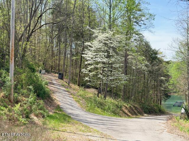 Lot 110 Harness Lane, Speedwell, TN - Norris Lake Real Estate - Image# 22