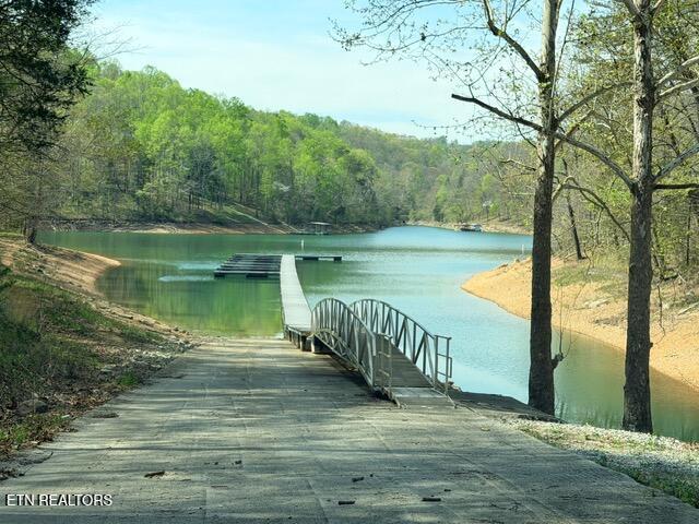Lot 110 Harness Lane, Speedwell, TN - Norris Lake Real Estate - Image# 25