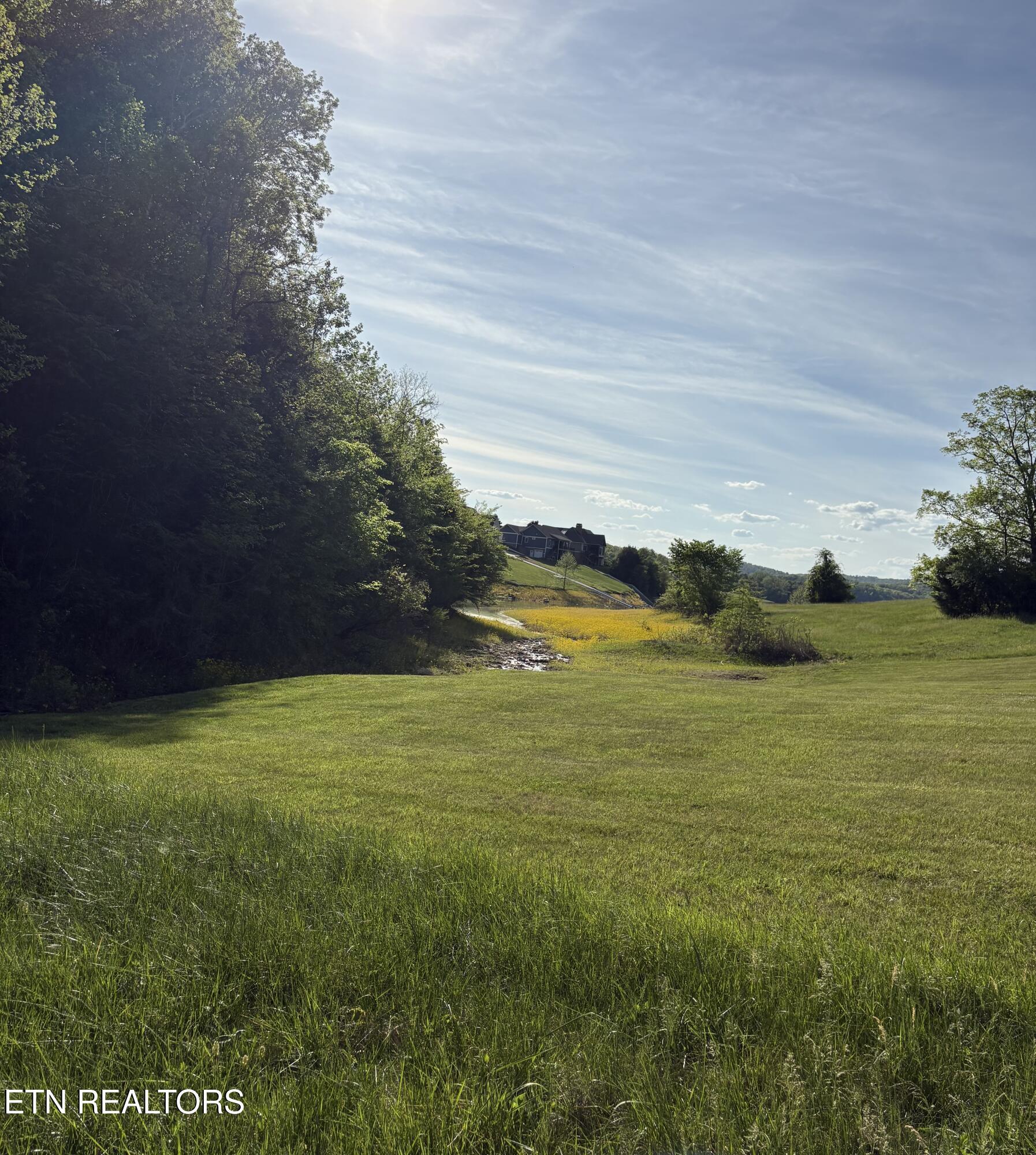 Norris Lake Real Estate - Image# 1