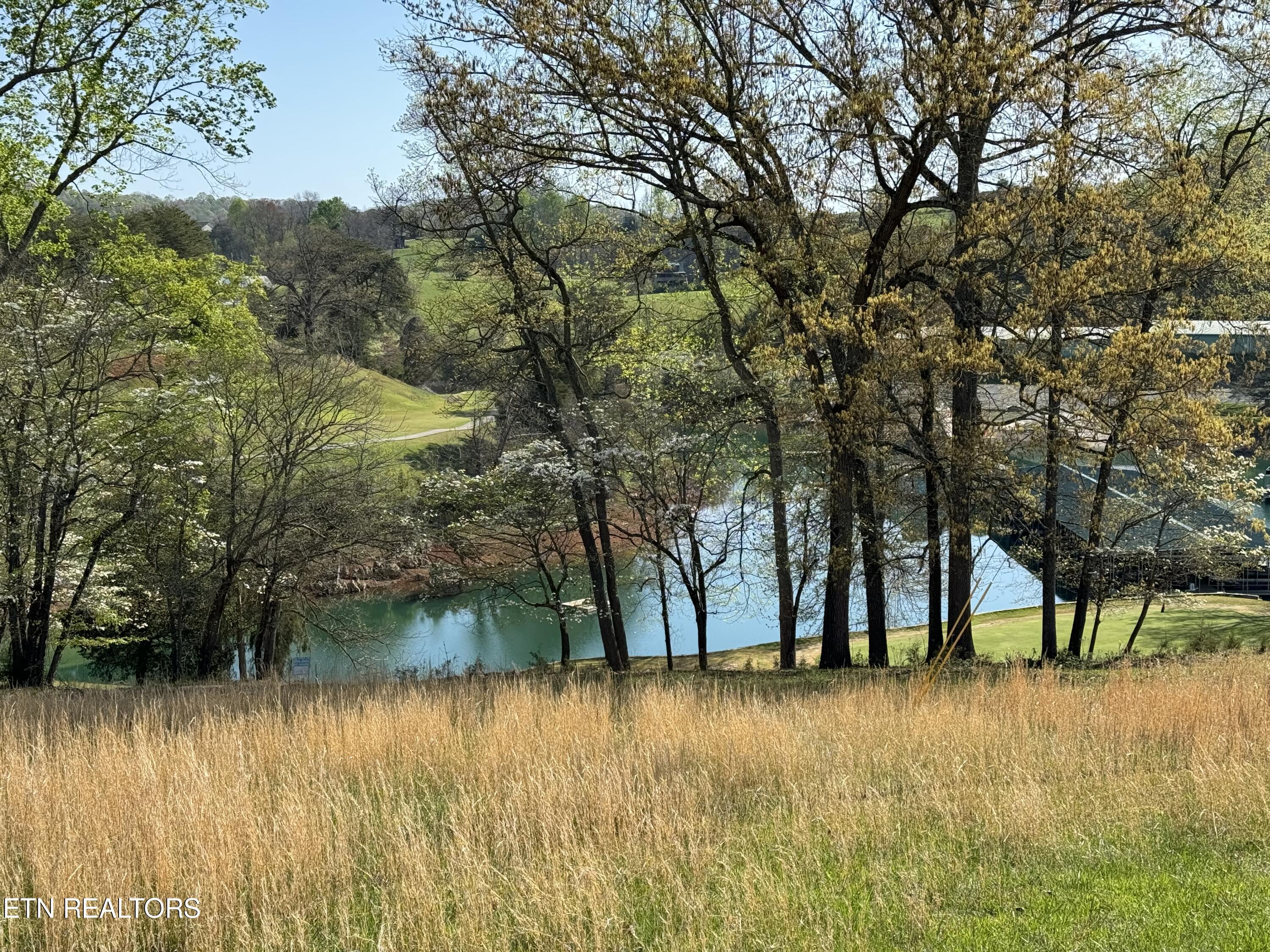 Antlers Way, Lafollette, TN - Norris Lake Real Estate - Image# 5