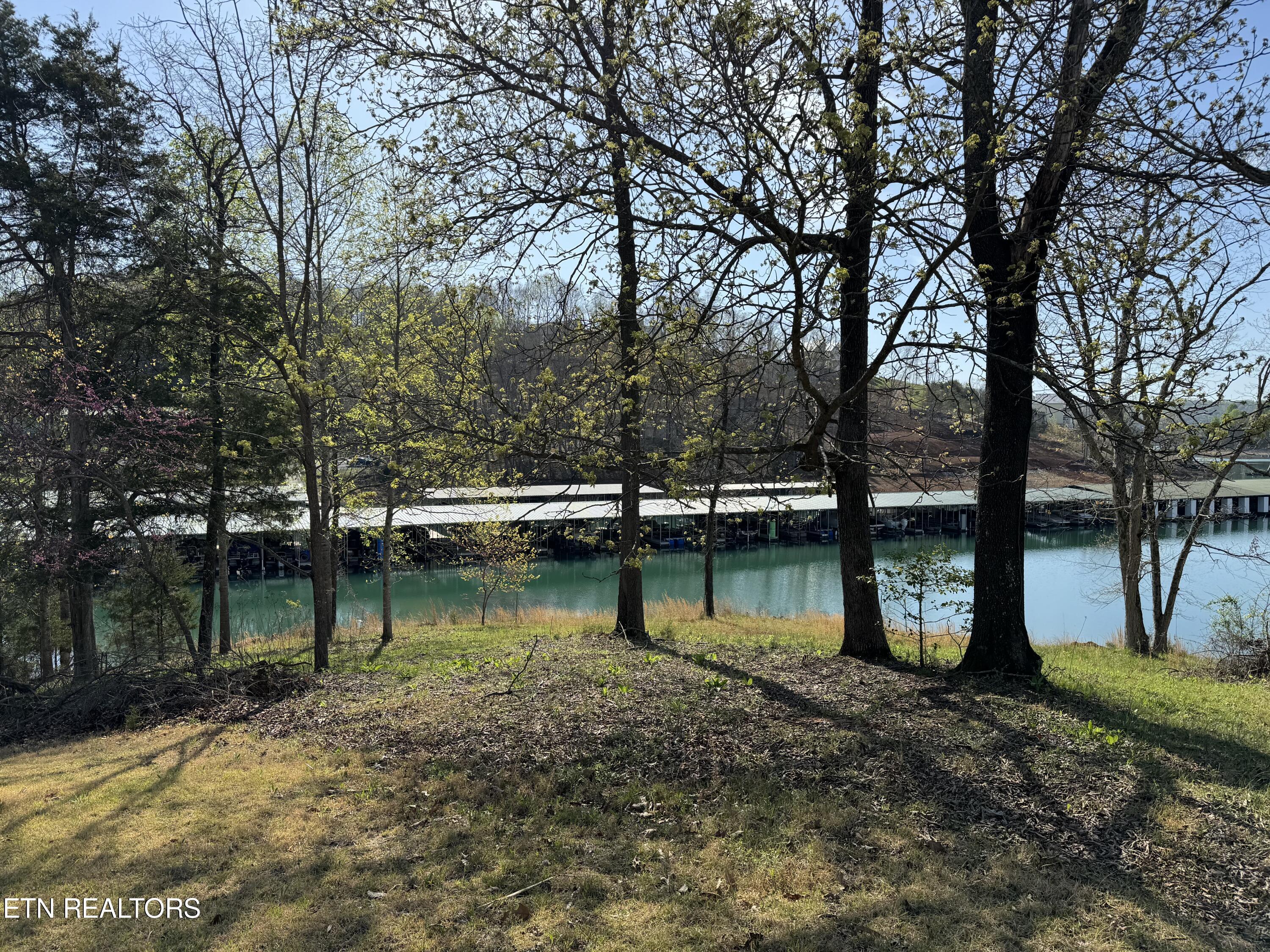 Antlers Way, Lafollette, TN - Norris Lake Real Estate - Image# 2