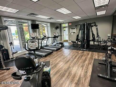 304 Brittney Lane, Sharps Chapel, TN - Norris Lake Real Estate - Image# 45
