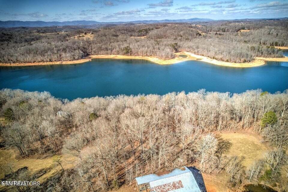 Norris Lake Real Estate - Image# 14