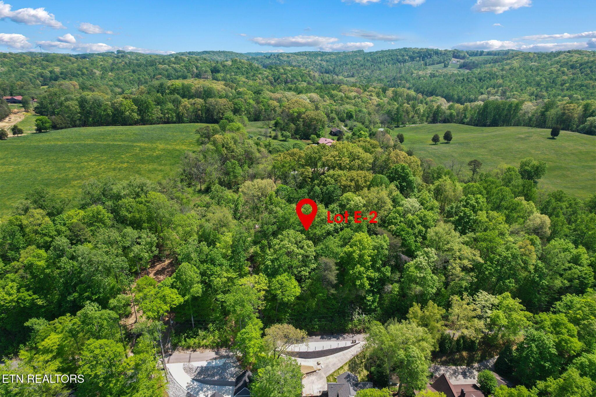 Norris Lake Real Estate - Image# 5
